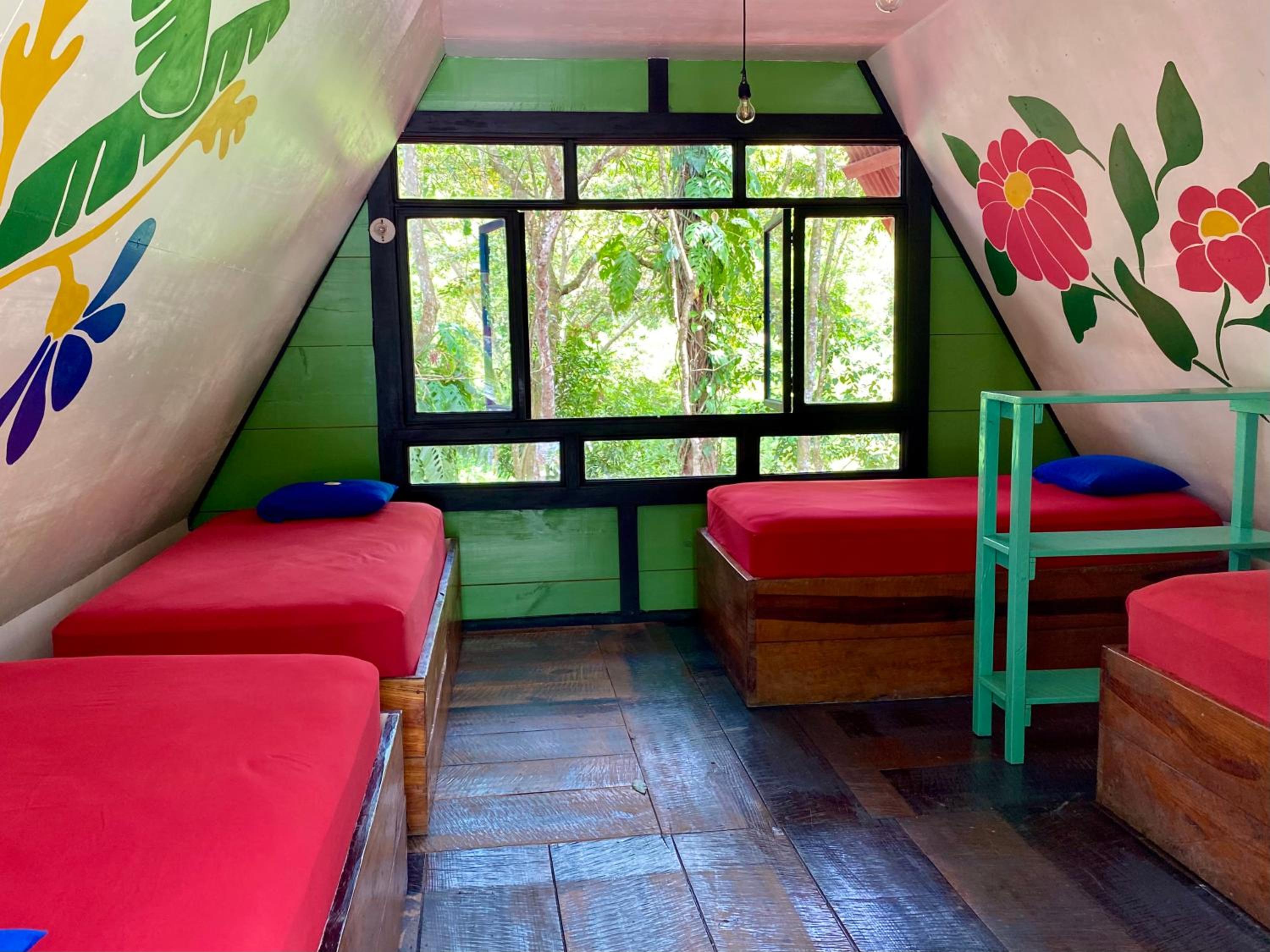 Single Bed in Female Dormitory Room
