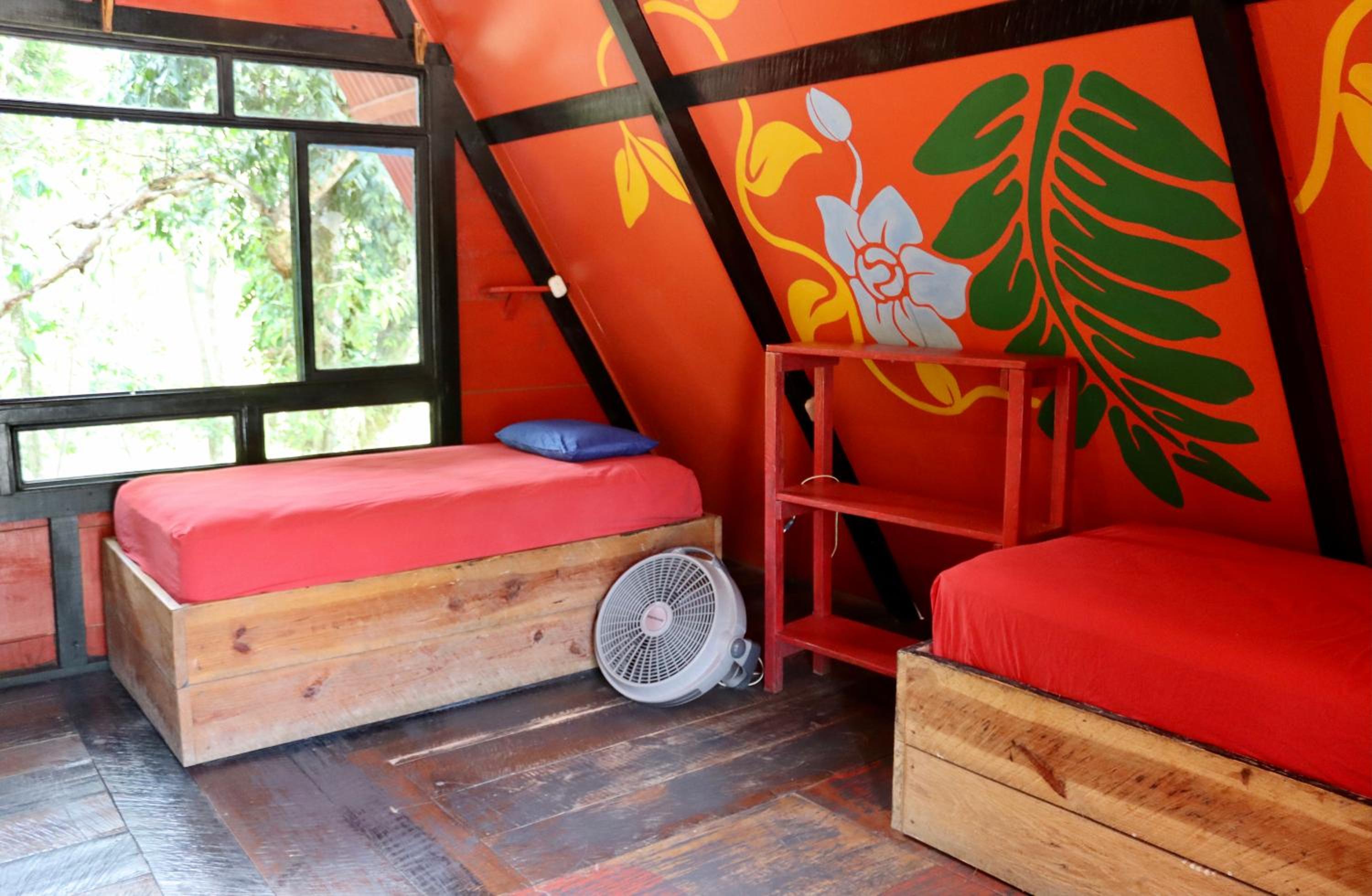 Single Bed in Female Dormitory Room