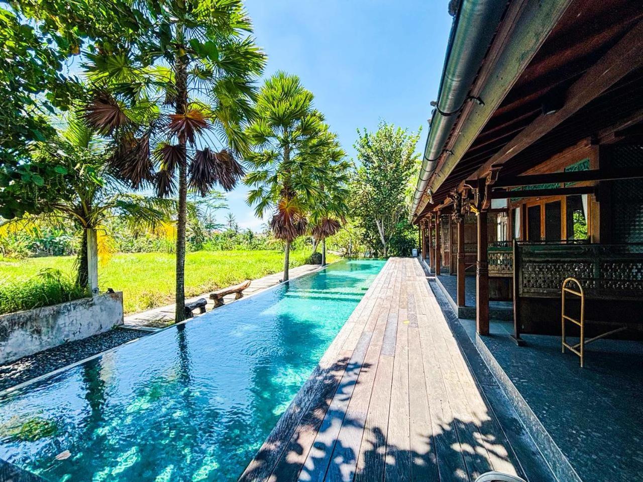 Suite with Pool View