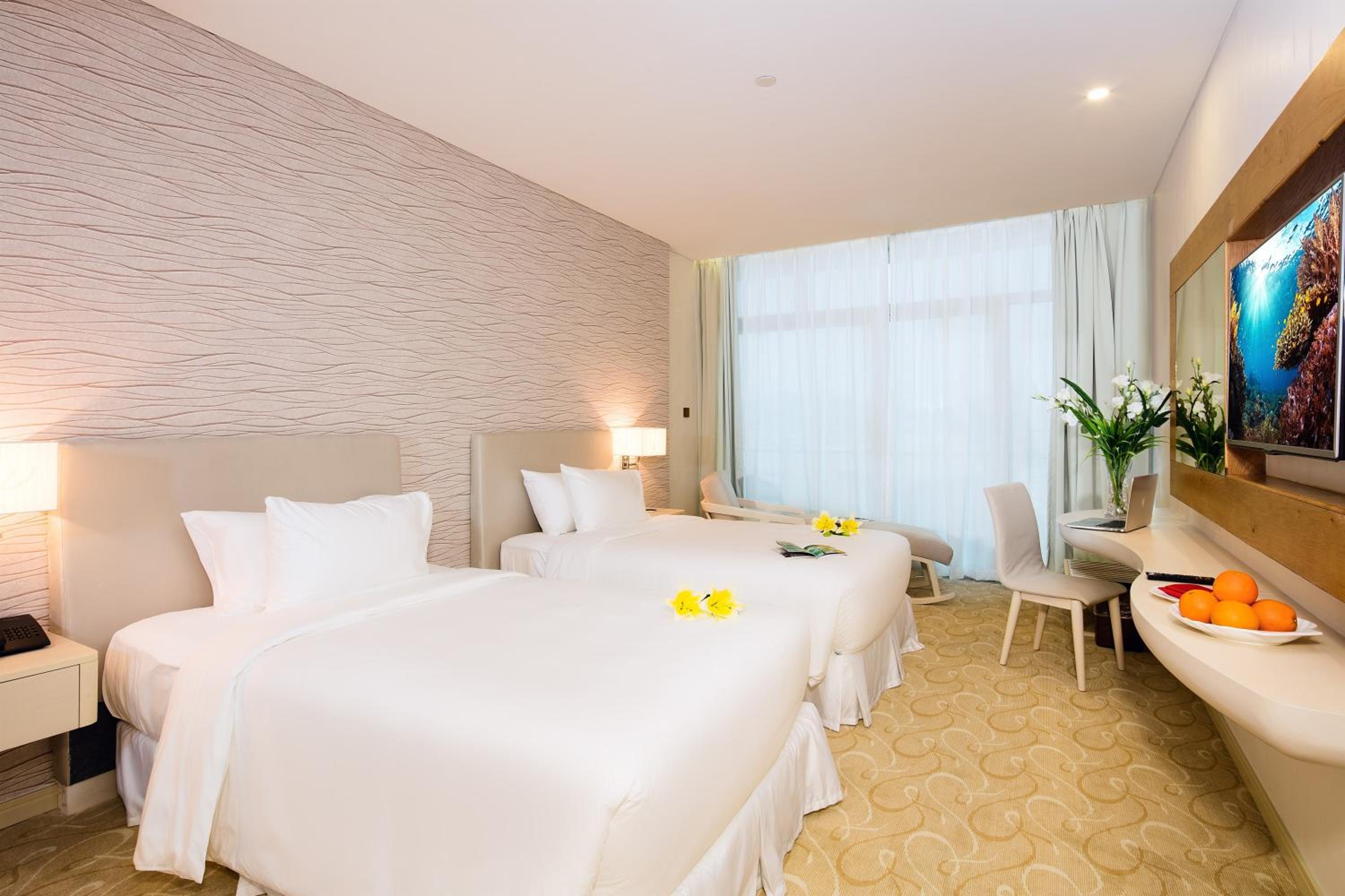 Grand Twin Room - Black Friday