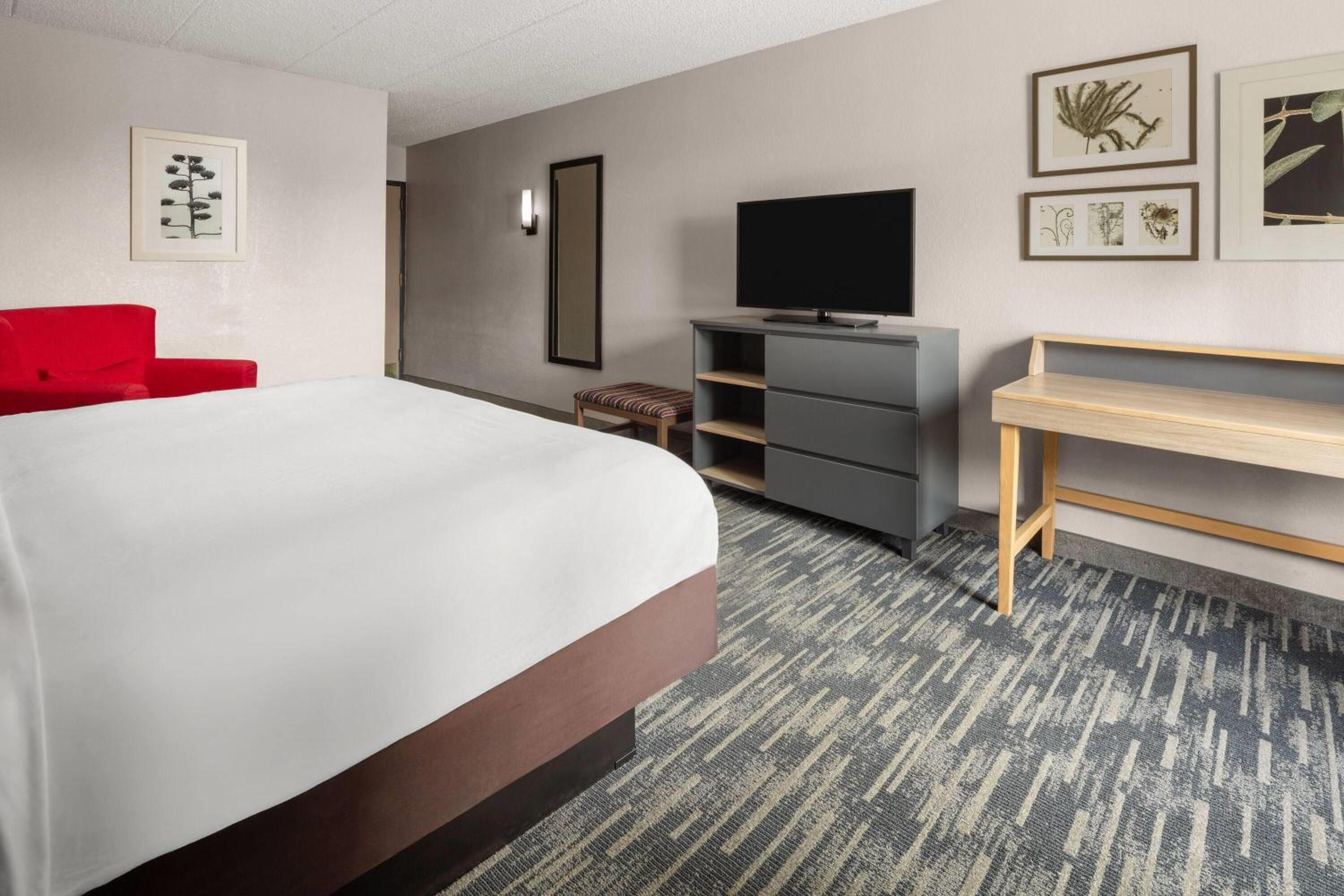 King Room with Mobility Access and Bathtub with Grab Bars, Non-Smoking - Photo 3