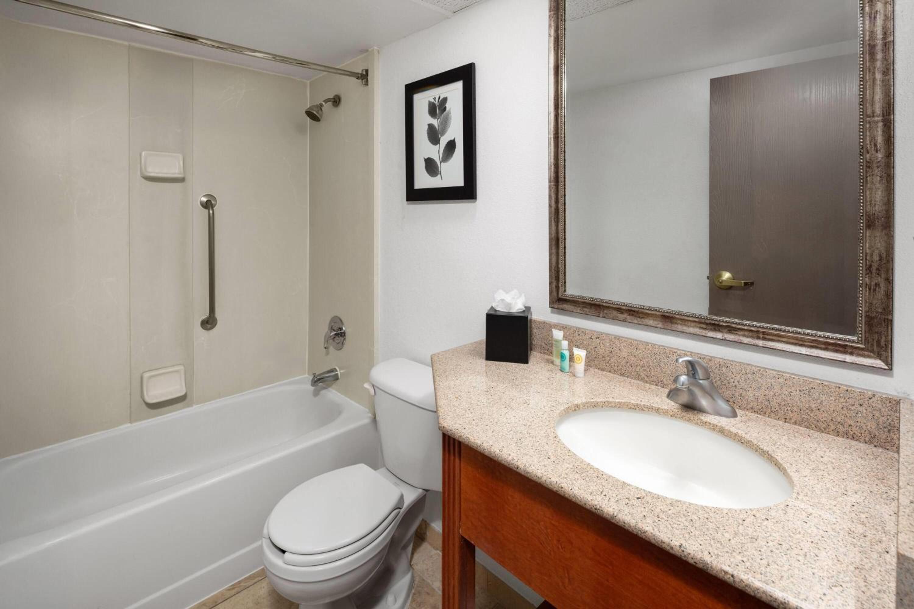 One-Bedroom King Suite - Non-Smoking - Photo 1
