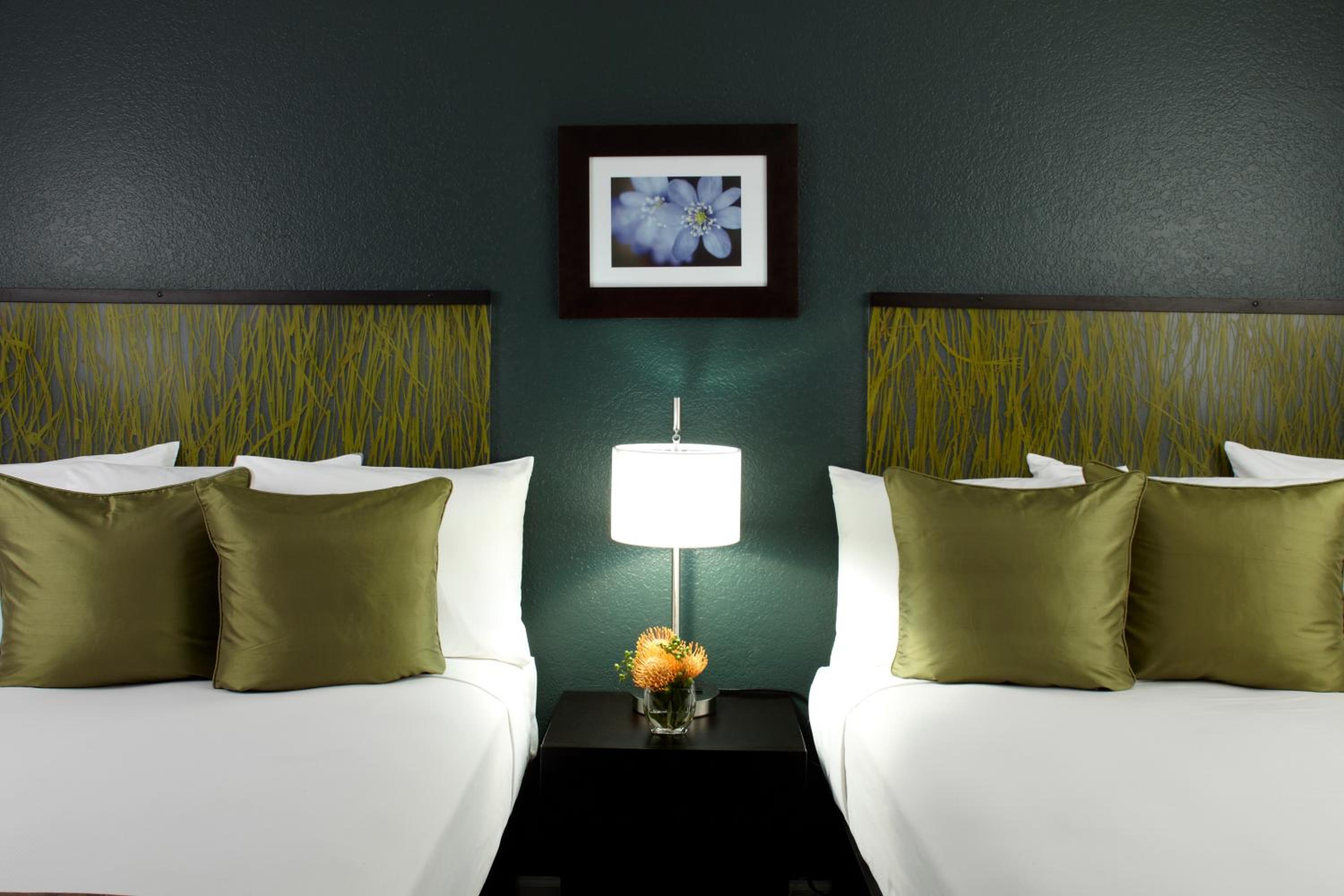 One Bedroom Suite - Photo 2