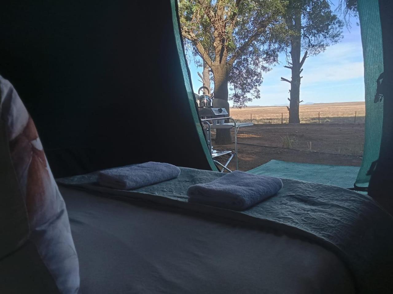 Tent photo 2