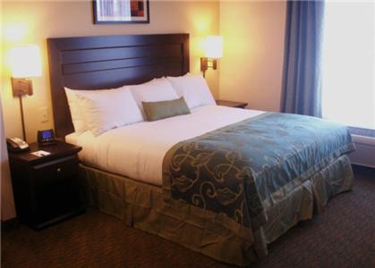 King Suite - Photo 7