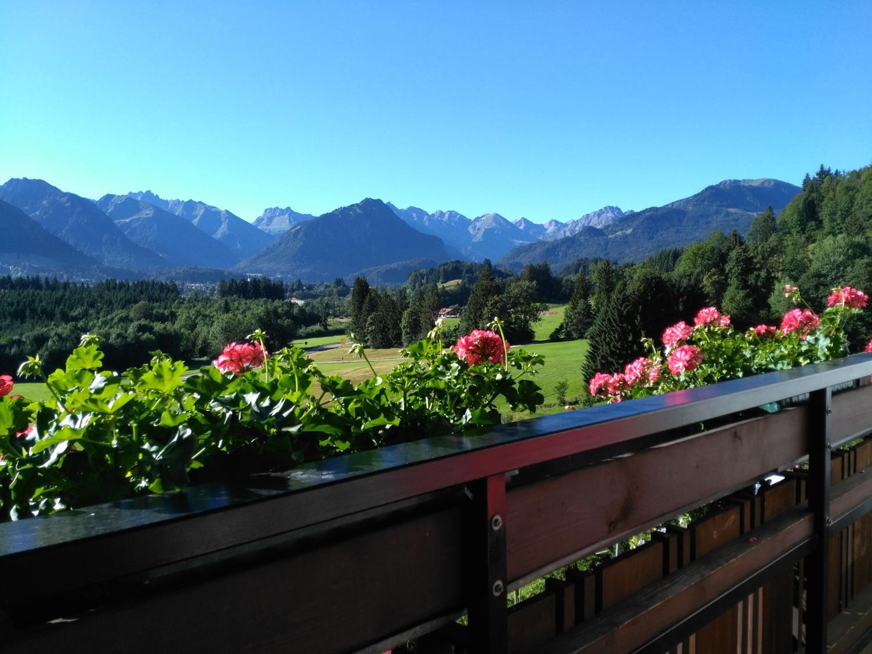 Apartment with Mountain View photo 3
