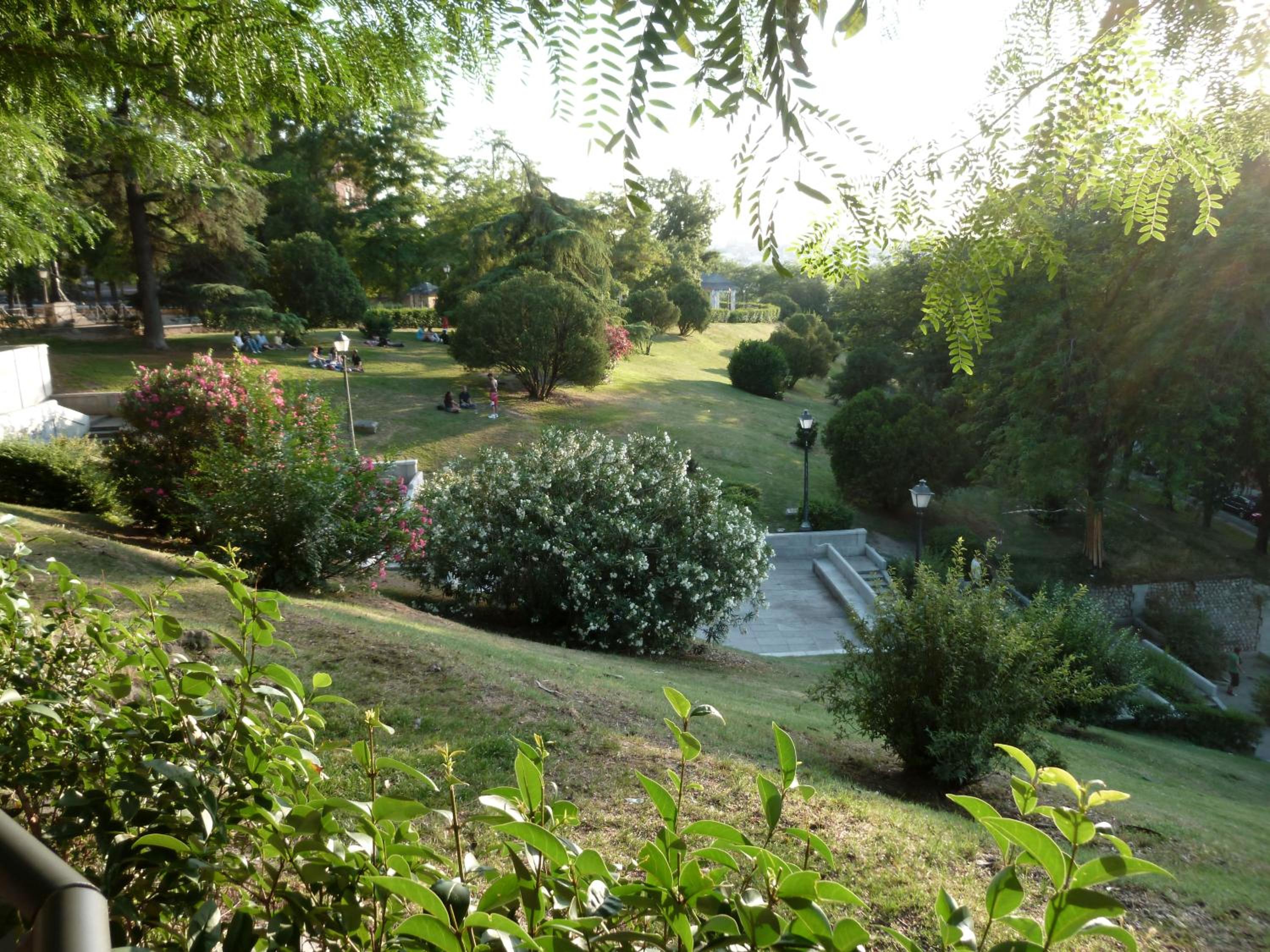 Studio with Terrace photo 3