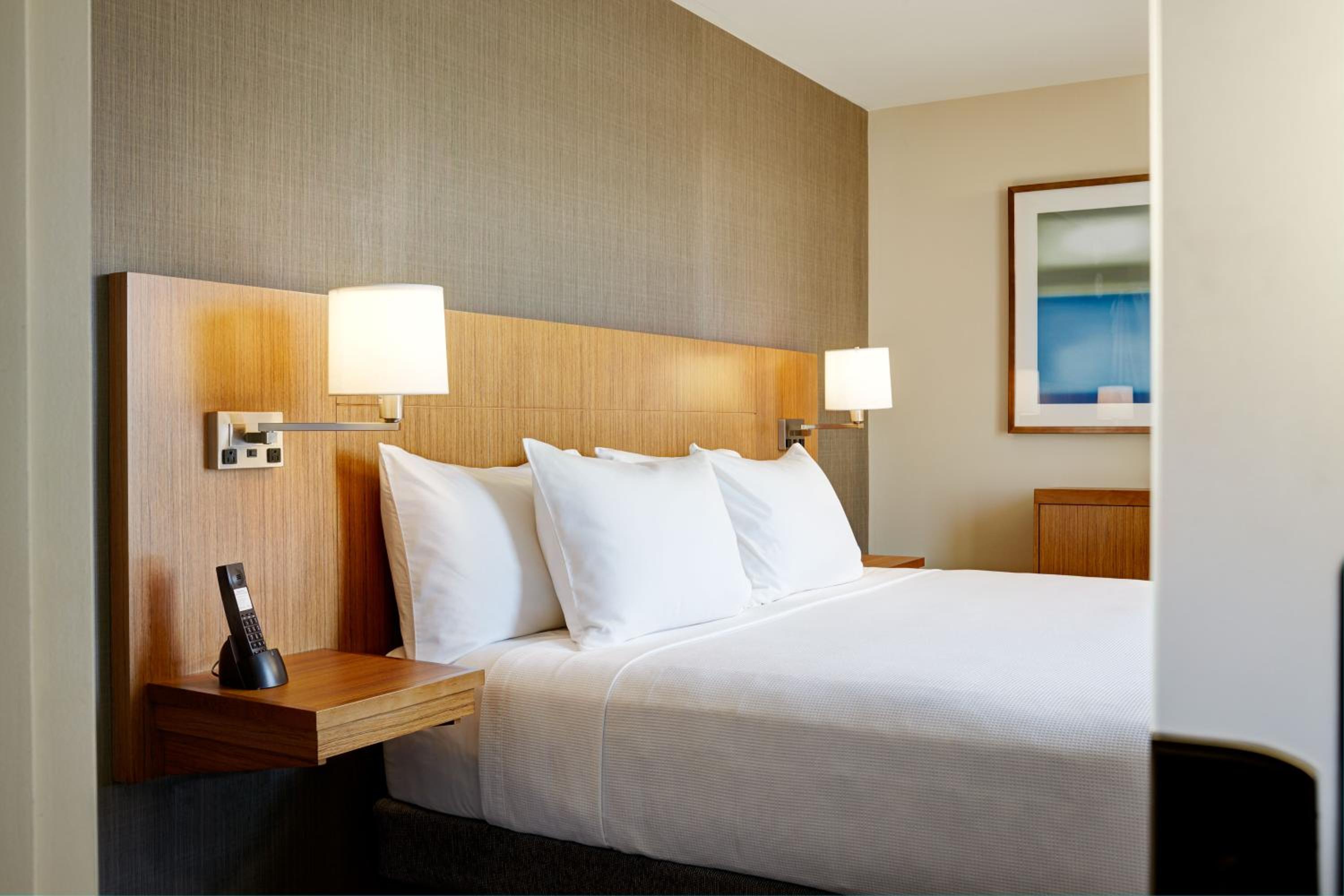 One-Bedroom King Suite with Sofa Bed photo 2