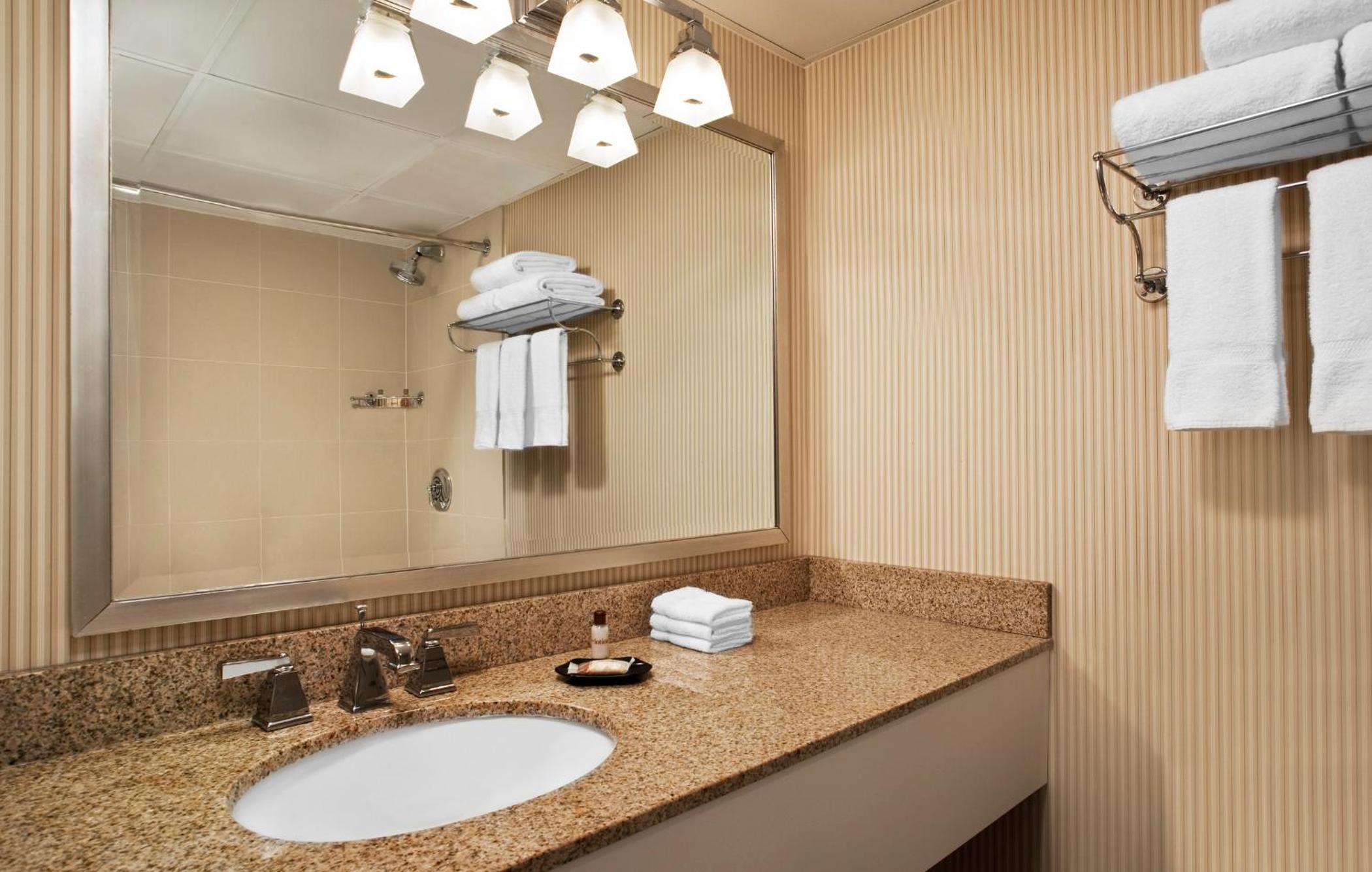 Junior Suite with One King Bed, Sofa Bed and Adapted Tub - Mobility and Hearing Accessible photo 2