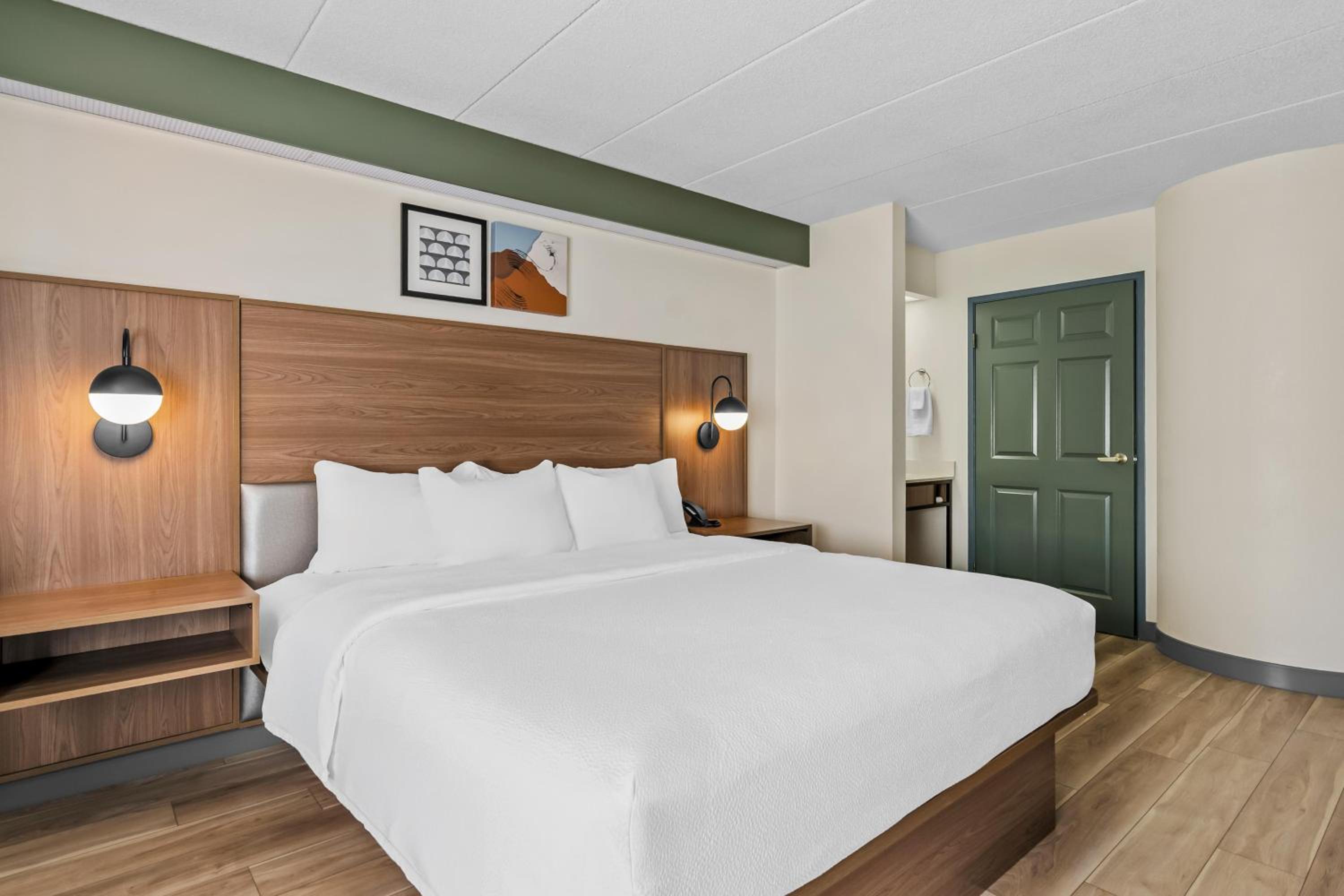 King Room photo 1