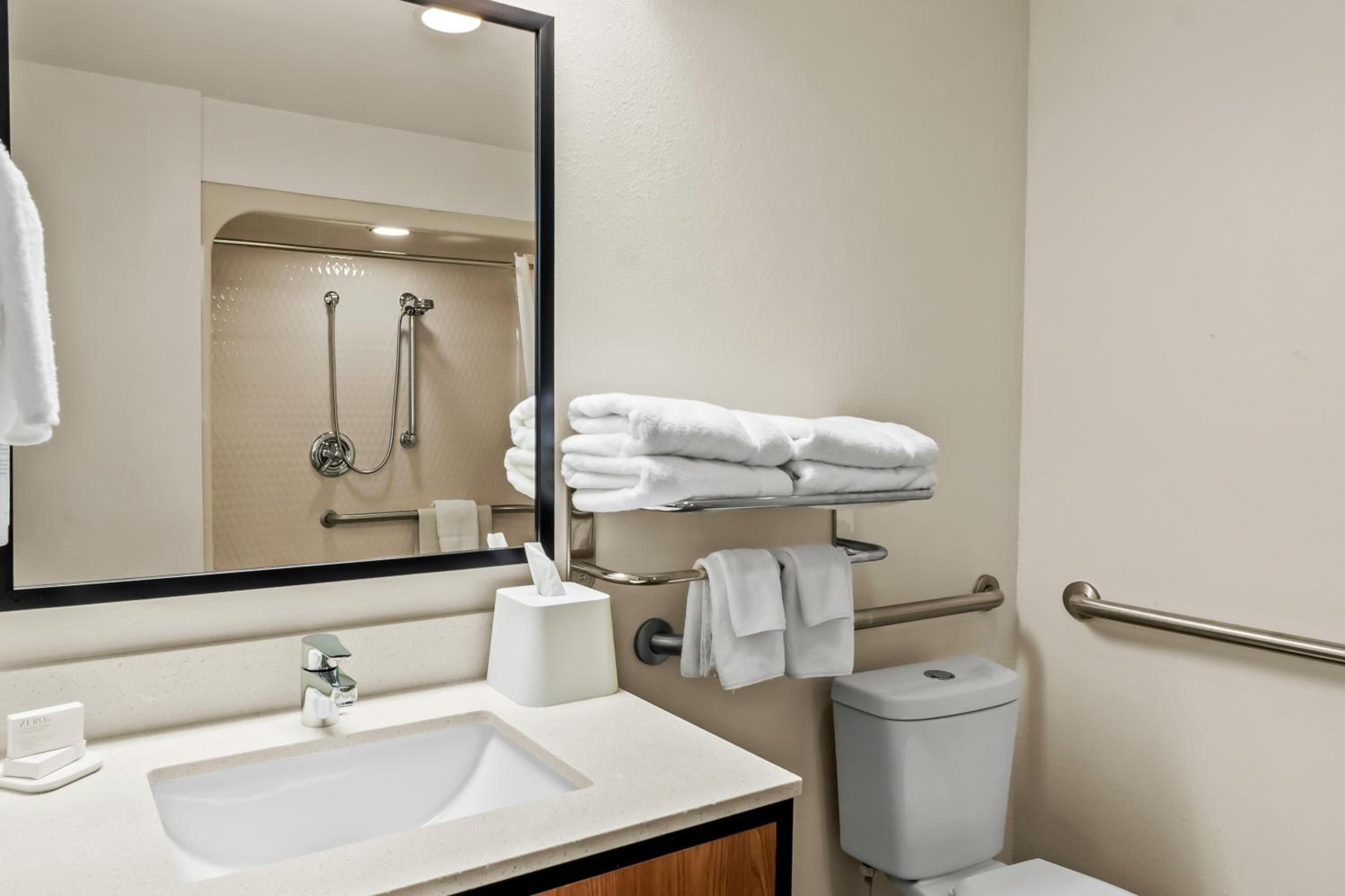 King Room with Roll-In Shower - Mobility and Hearing Access - Photo 6