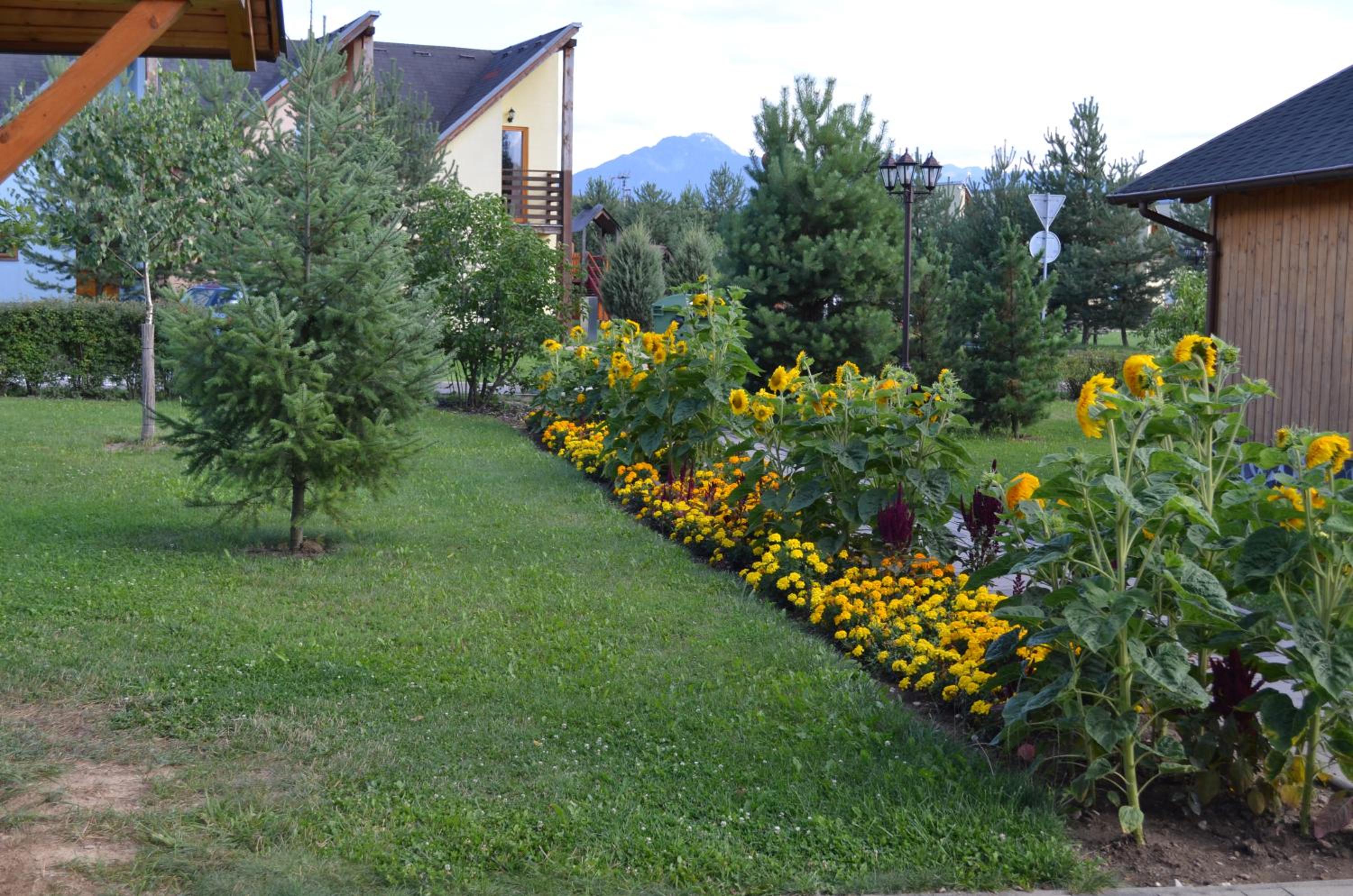 Cottage - Photo 52
