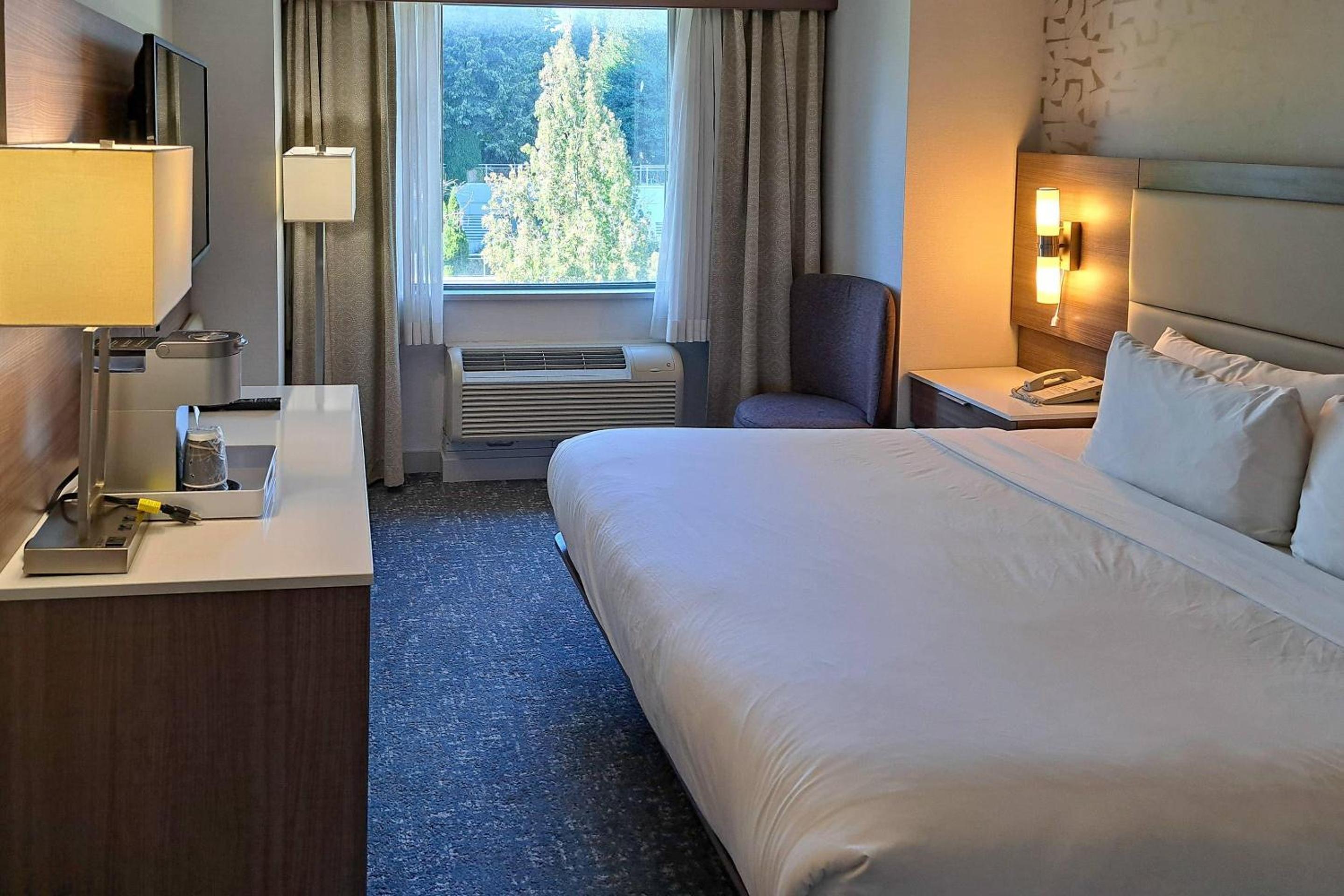 King Room - Non-Smoking photo 1