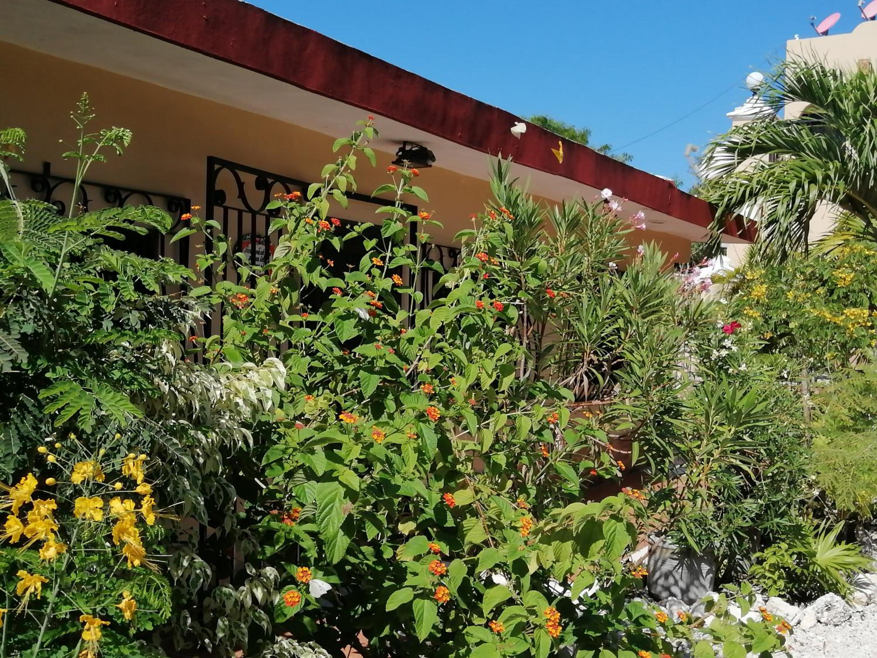 Bungalow with Garden View photo 3