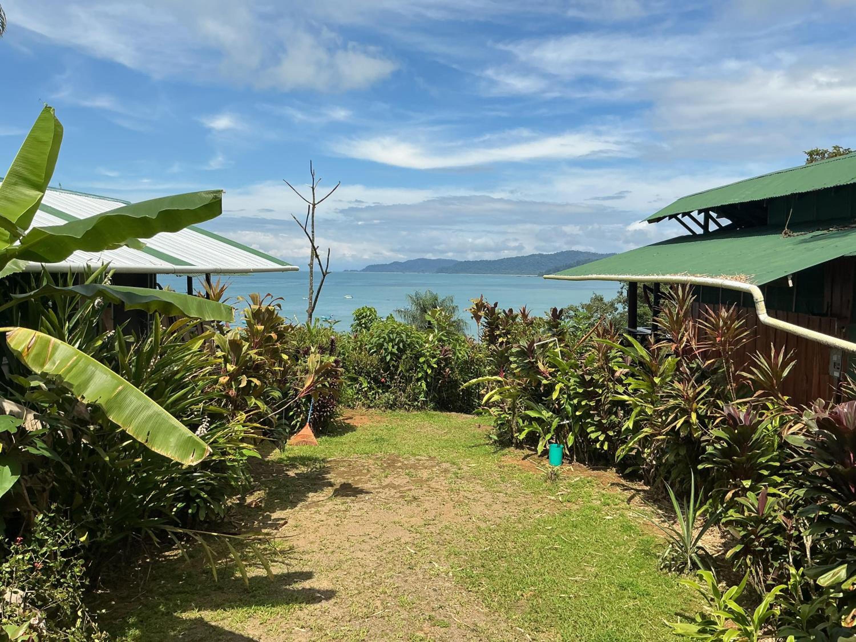 Bungalow with Sea View photo 1