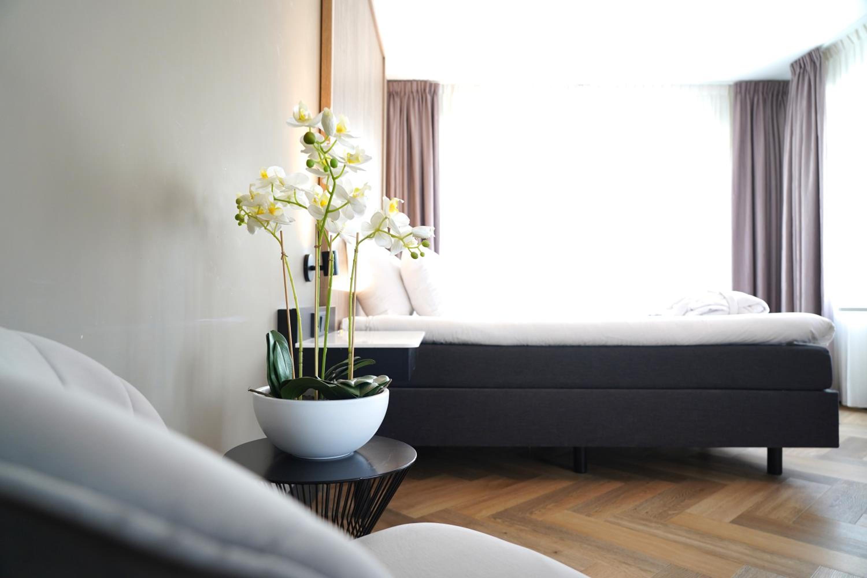 Suite - Photo 1