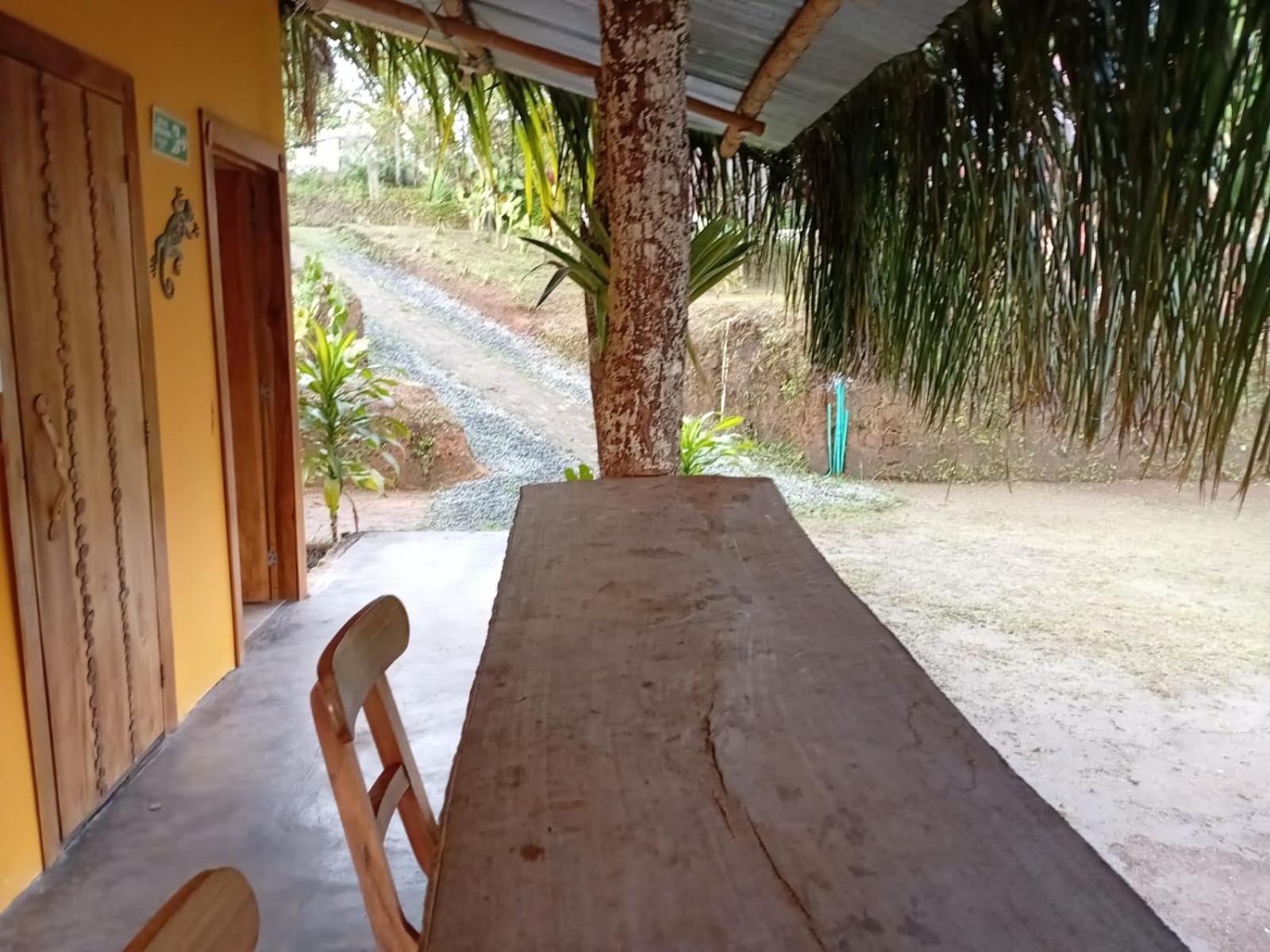 Double or Twin Room with View photo 3