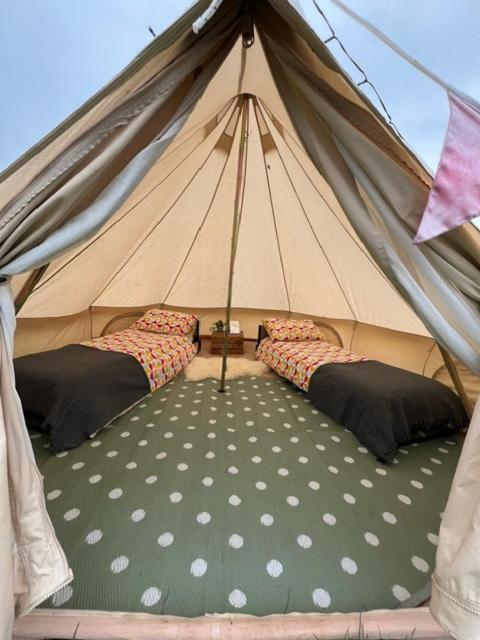 Tent photo 3