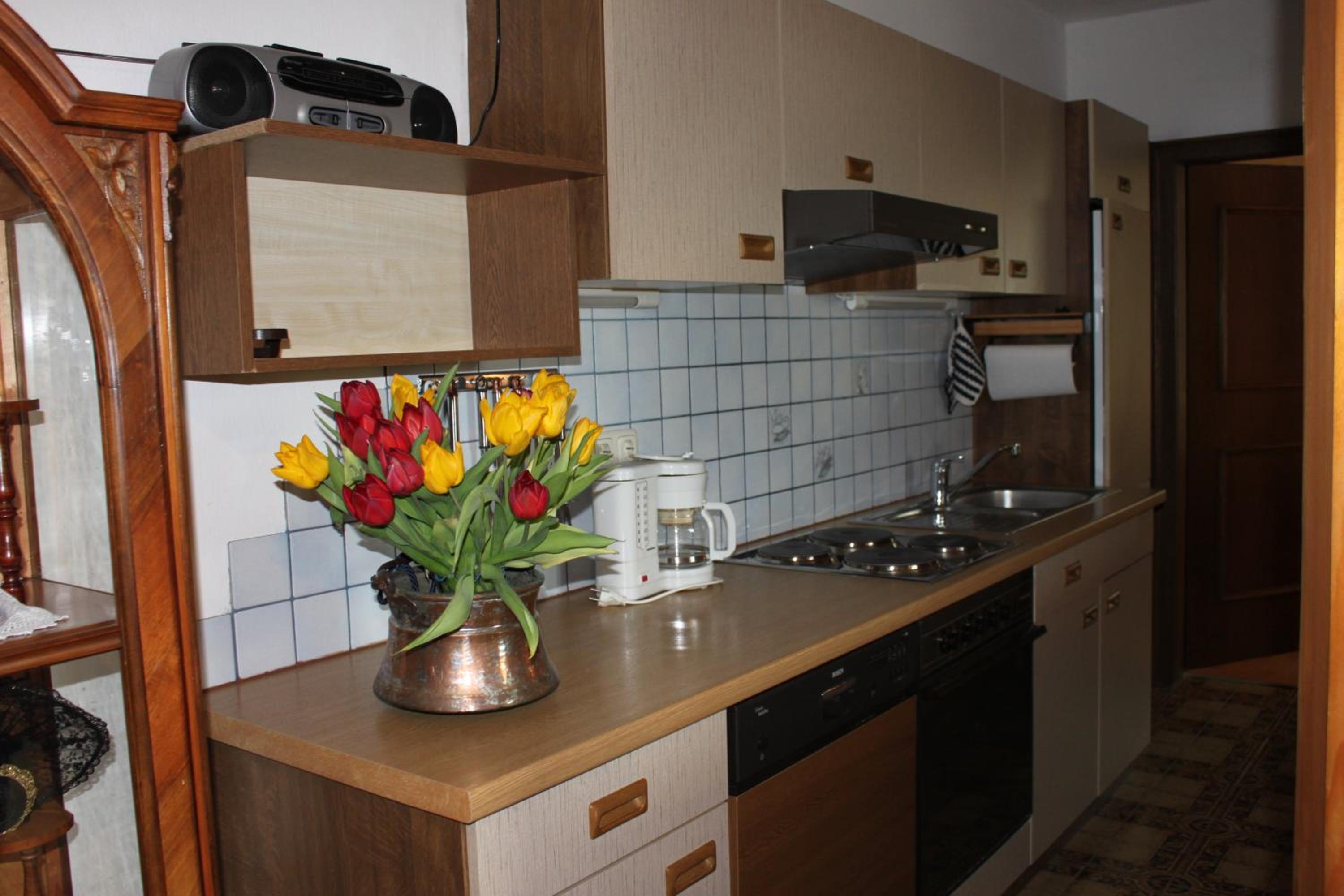 Apartment with Mountain View photo 3