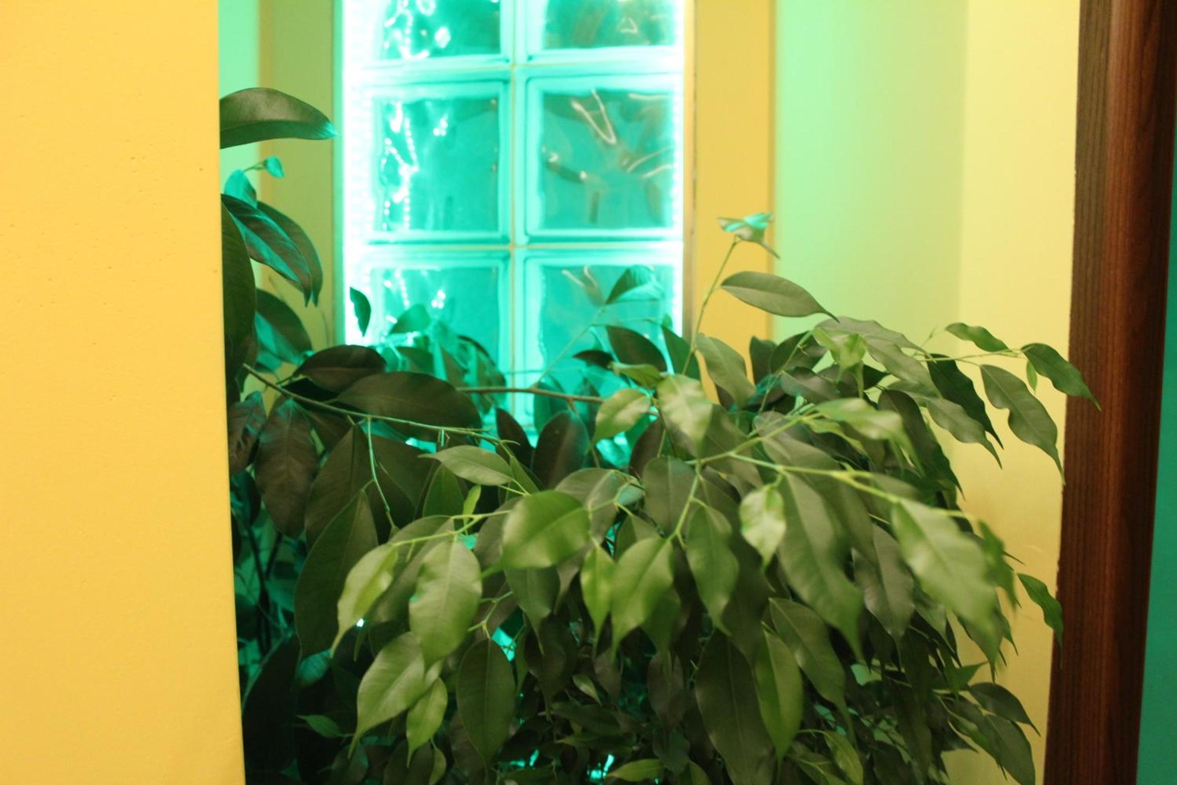 Double Room with Private External Bathroom - Photo 4
