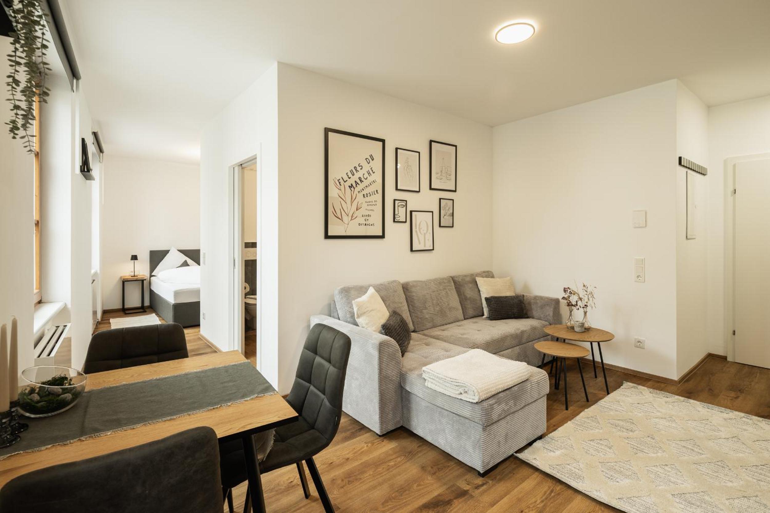 One-Bedroom Apartment photo 3