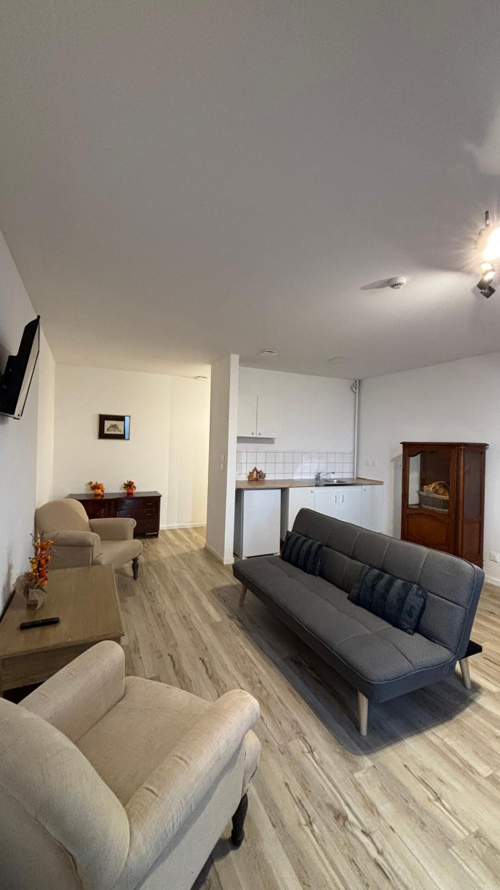 One-Bedroom Apartment - Photo 4