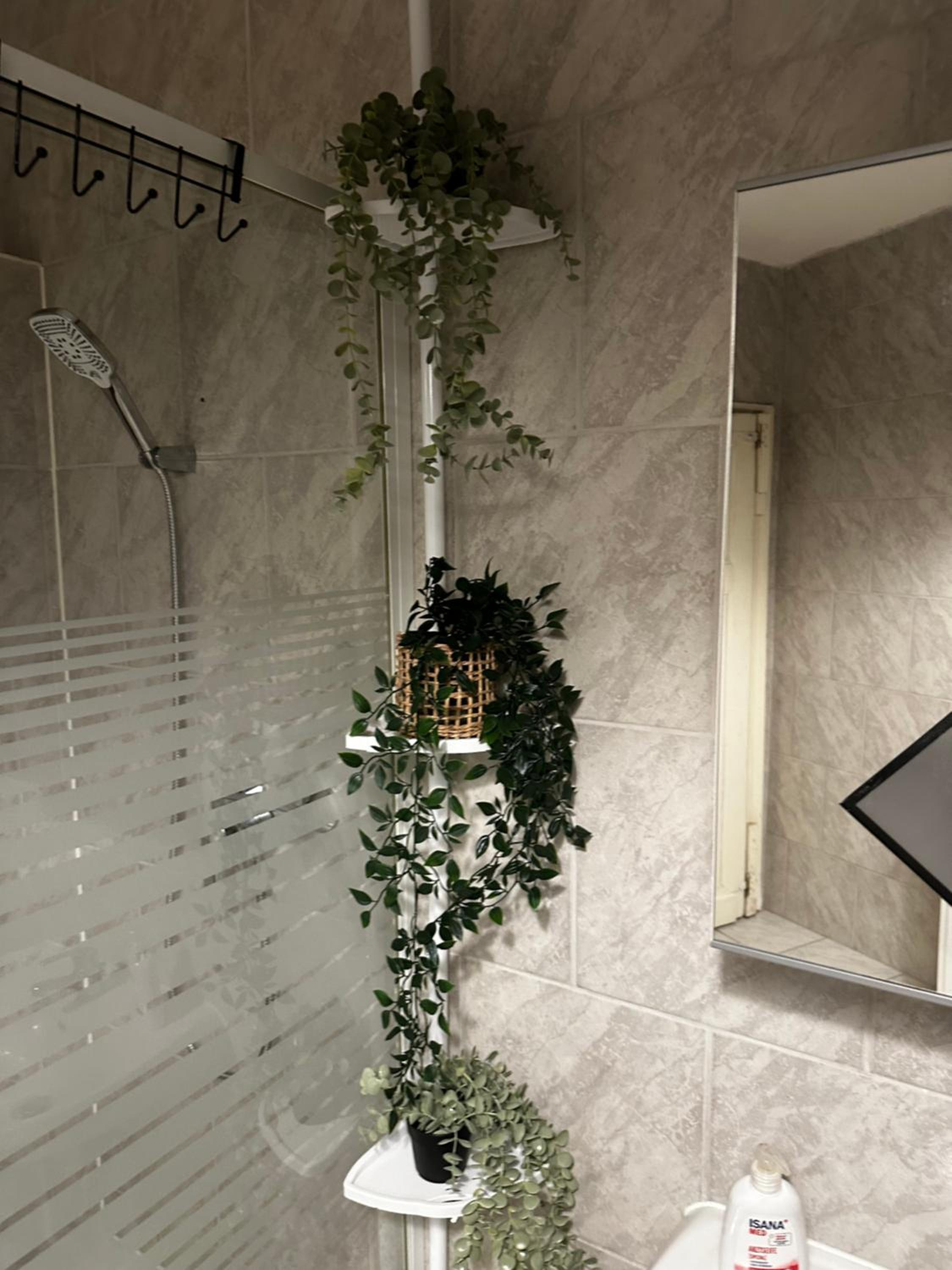 Double Room with Private External Bathroom photo 2