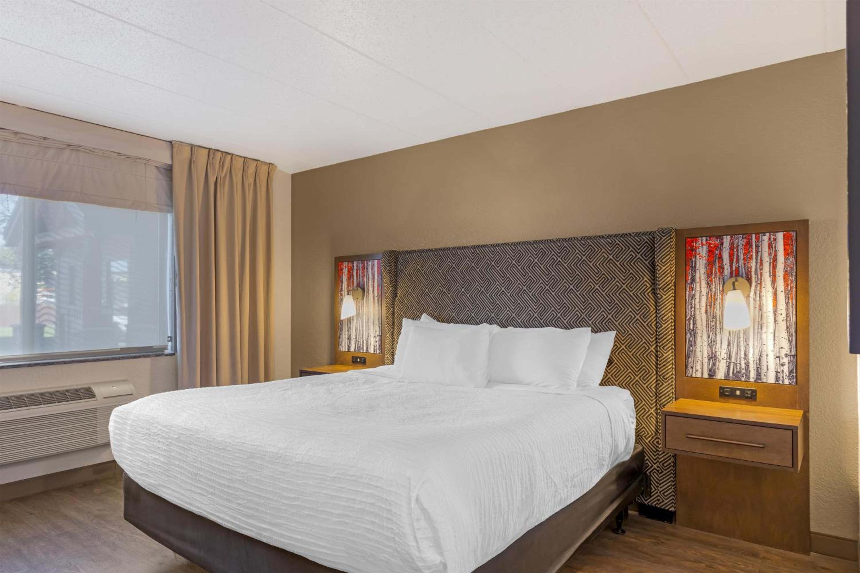 King Room with Roll-in Shower - Disability Access/Non-Smoking - Photo 1