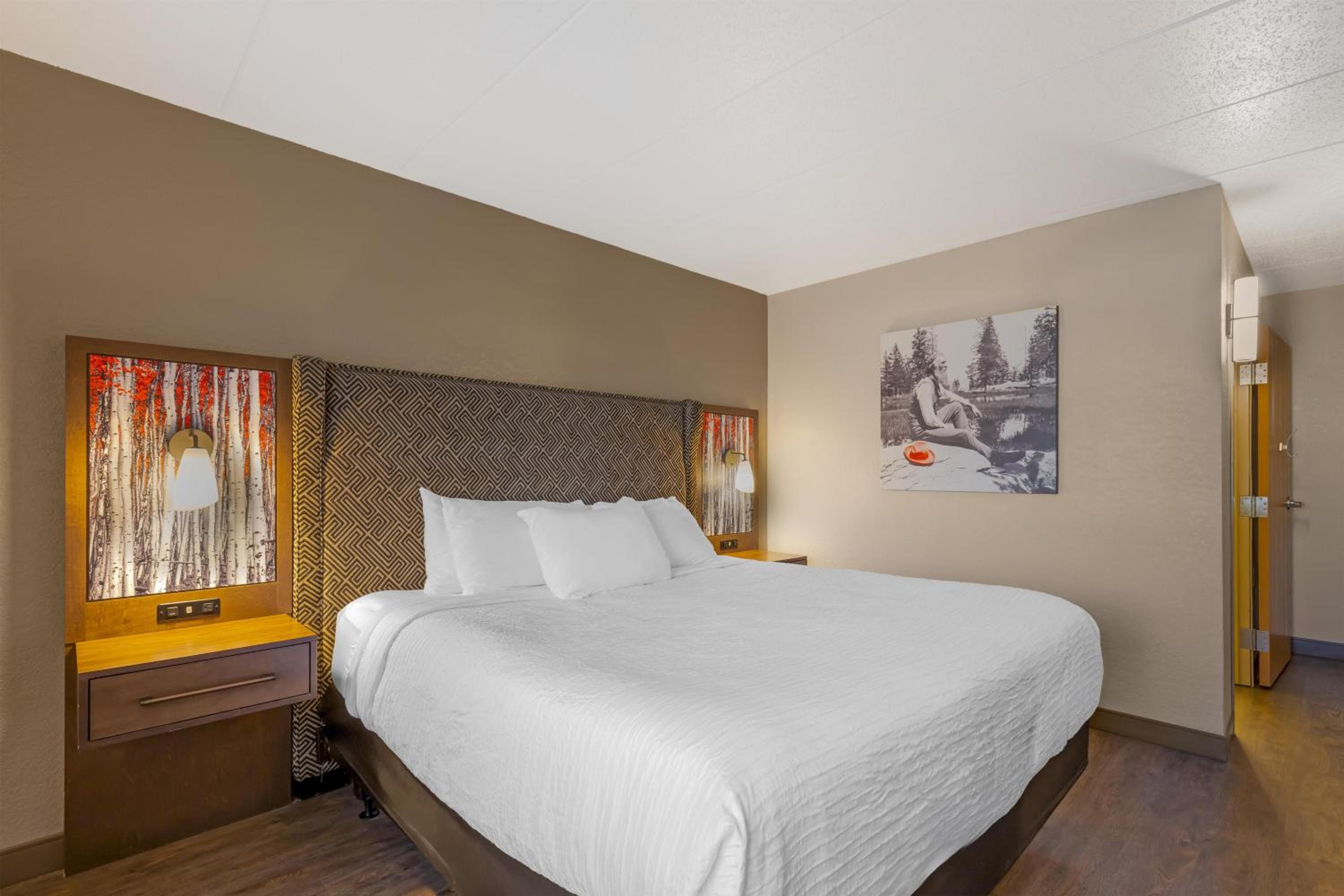 King Room with Roll-in Shower - Disability Access/Non-Smoking - Photo 3