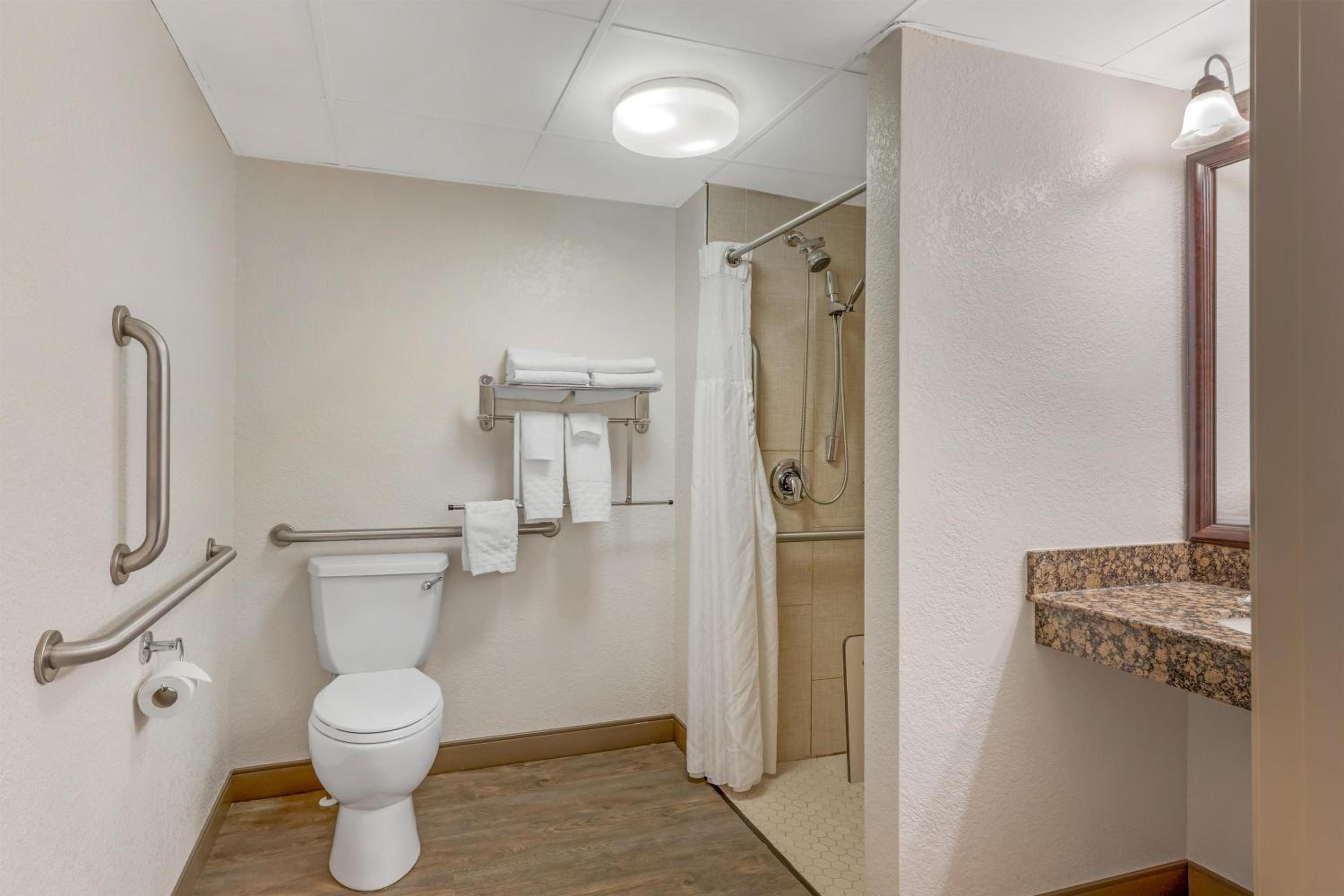 King Room with Roll-in Shower - Disability Access/Non-Smoking - Photo 4