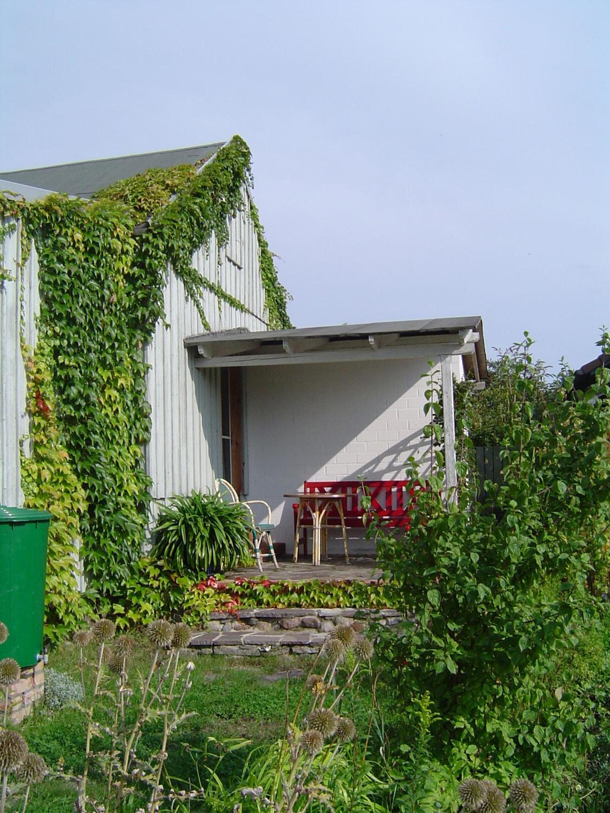 Apartment with Terrace photo 3