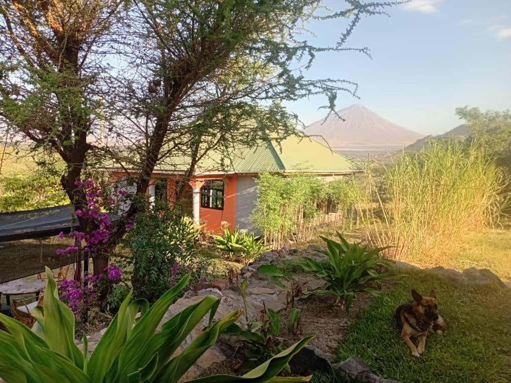 Double Room with Lake View