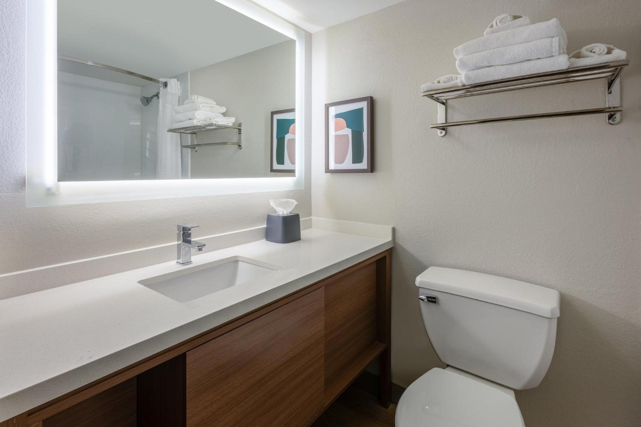 One-Bedroom King Suite - Photo 2