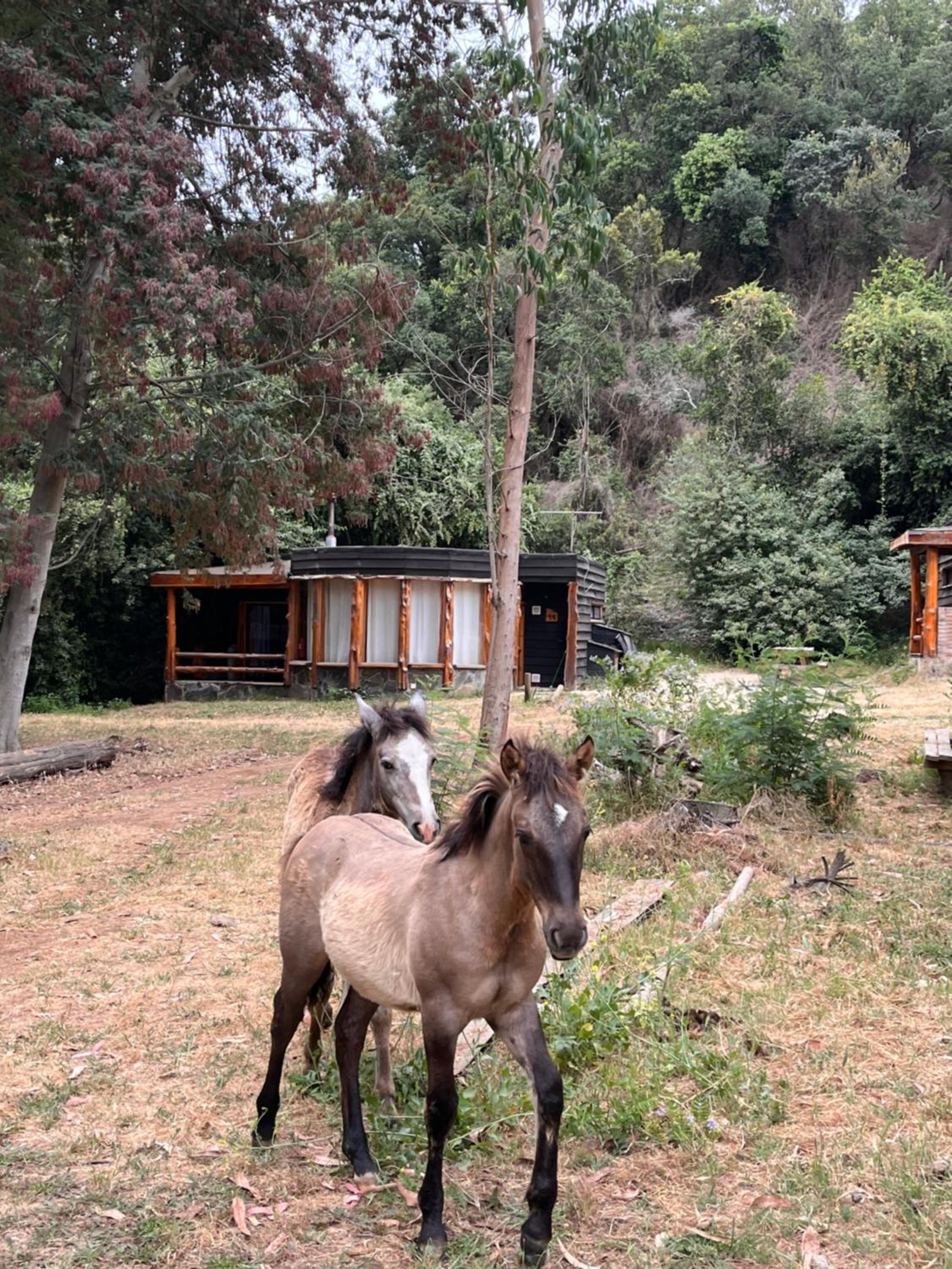 Bungalow photo 2