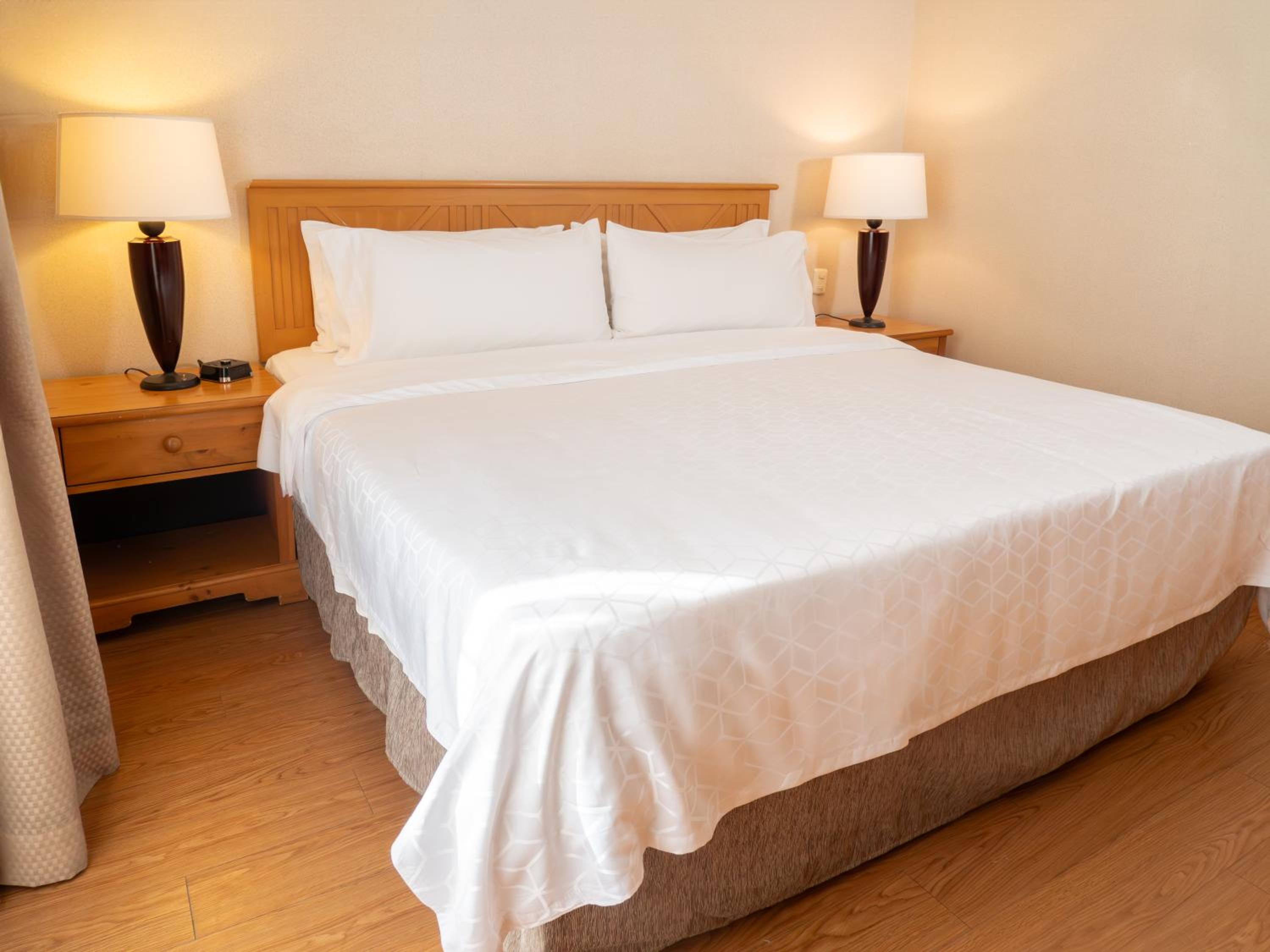 King Suite - Photo 3