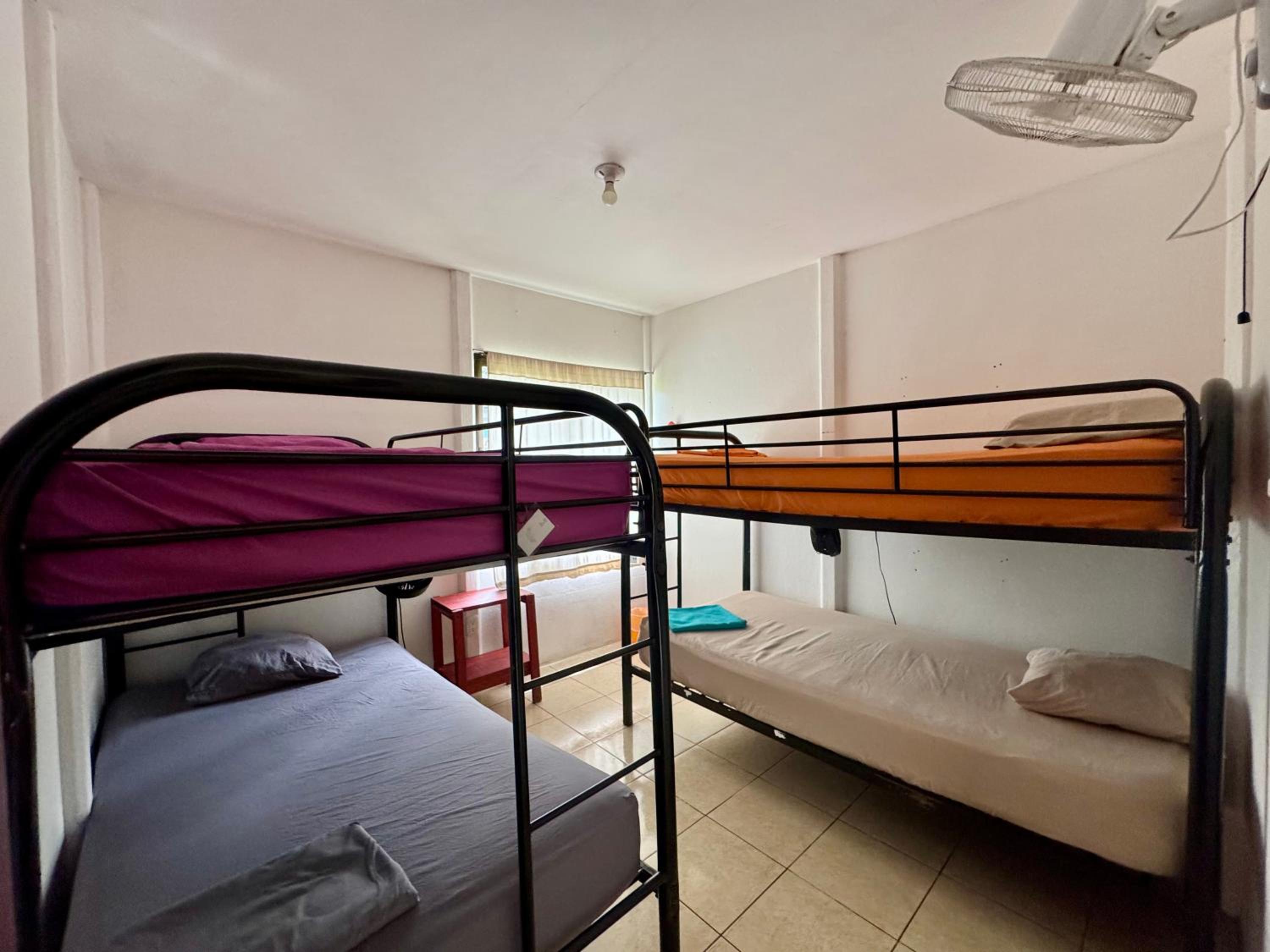Bed in 4-Bed Dormitory Room photo 3