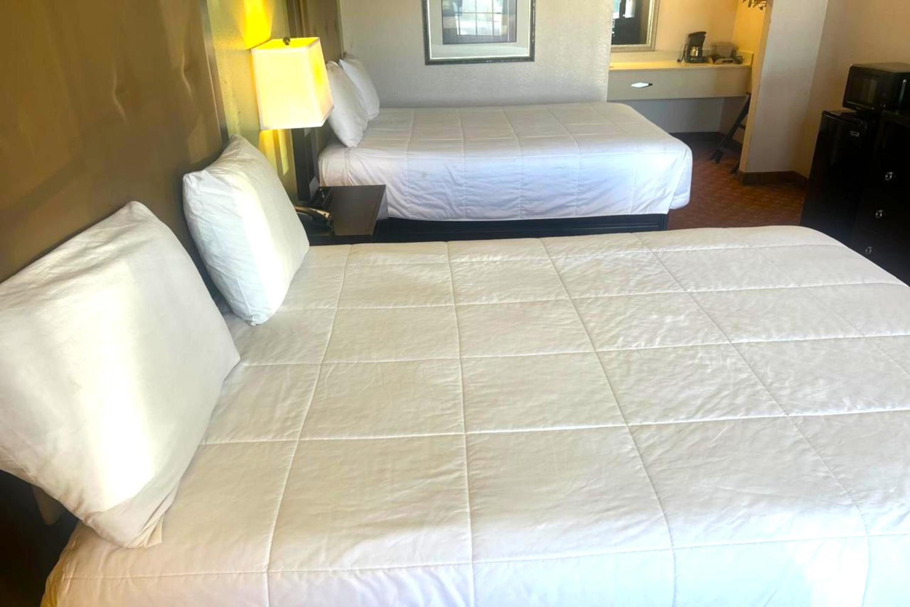2 Queen Beds Non-Smoking - Photo 1