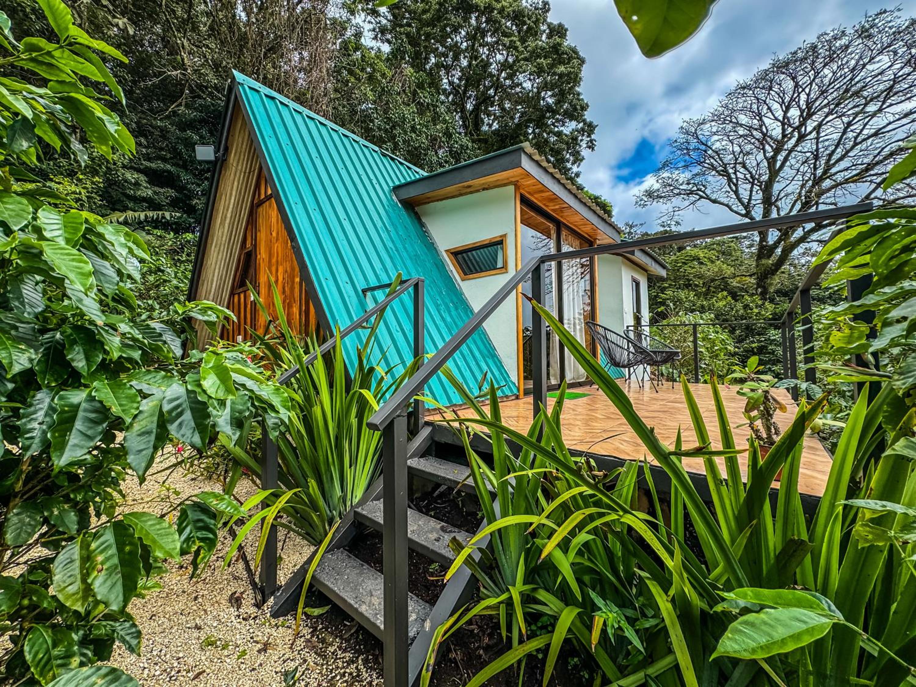 Deluxe Bungalow photo 3