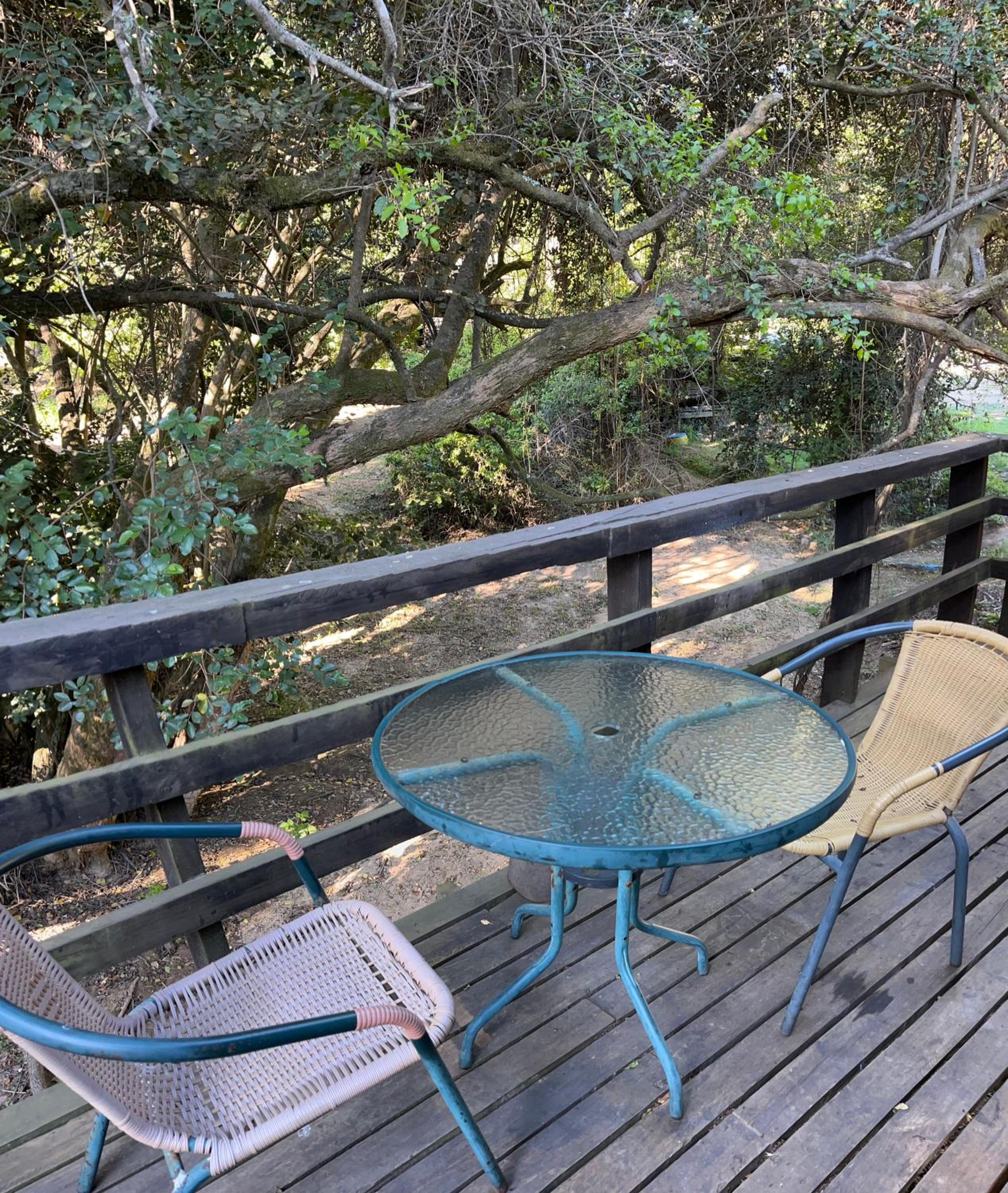 Deluxe Bungalow with Garden View photo 1