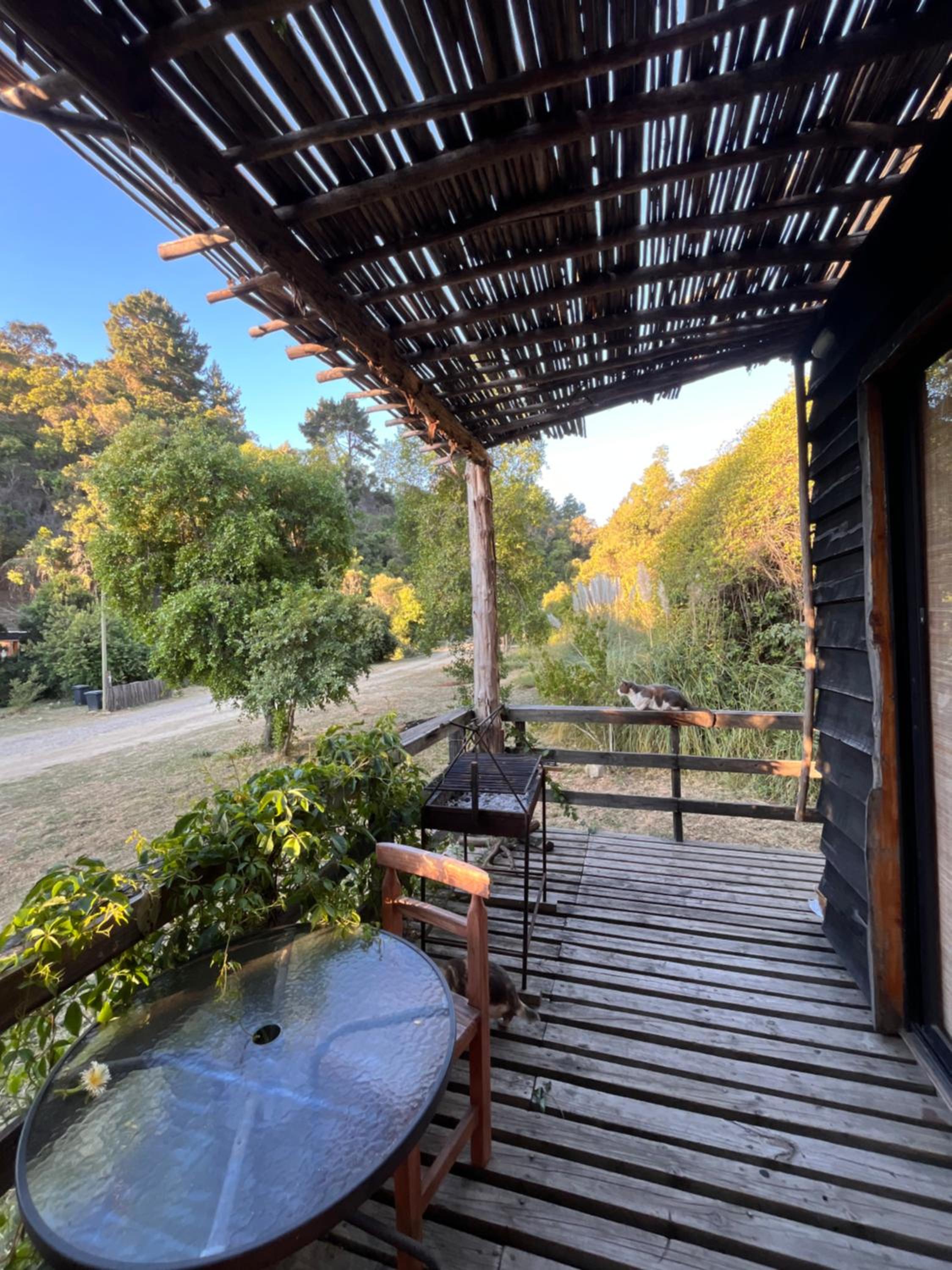 Family Bungalow photo 1