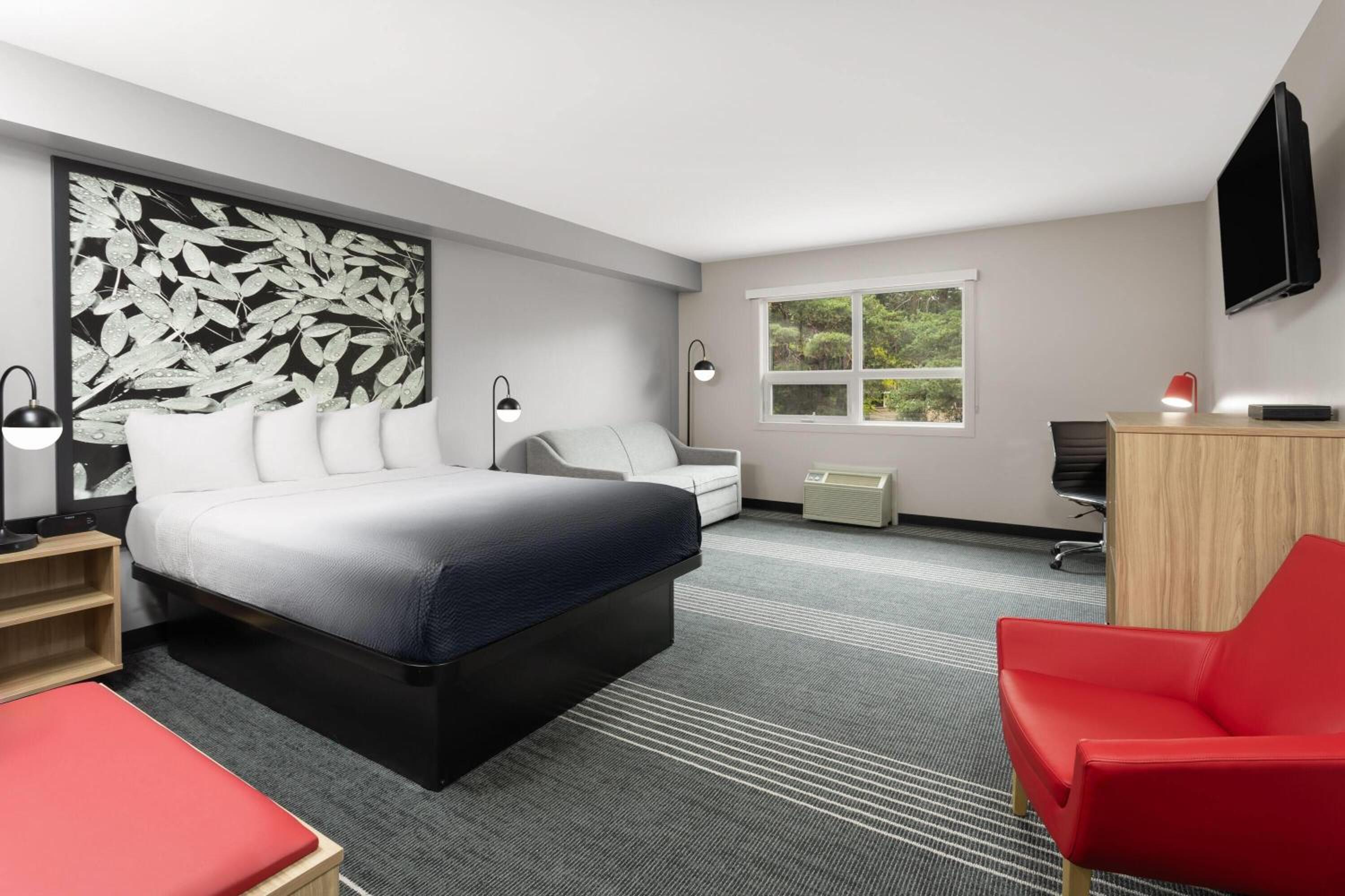Queen Suite with Sofa Bed - Non-Smoking
