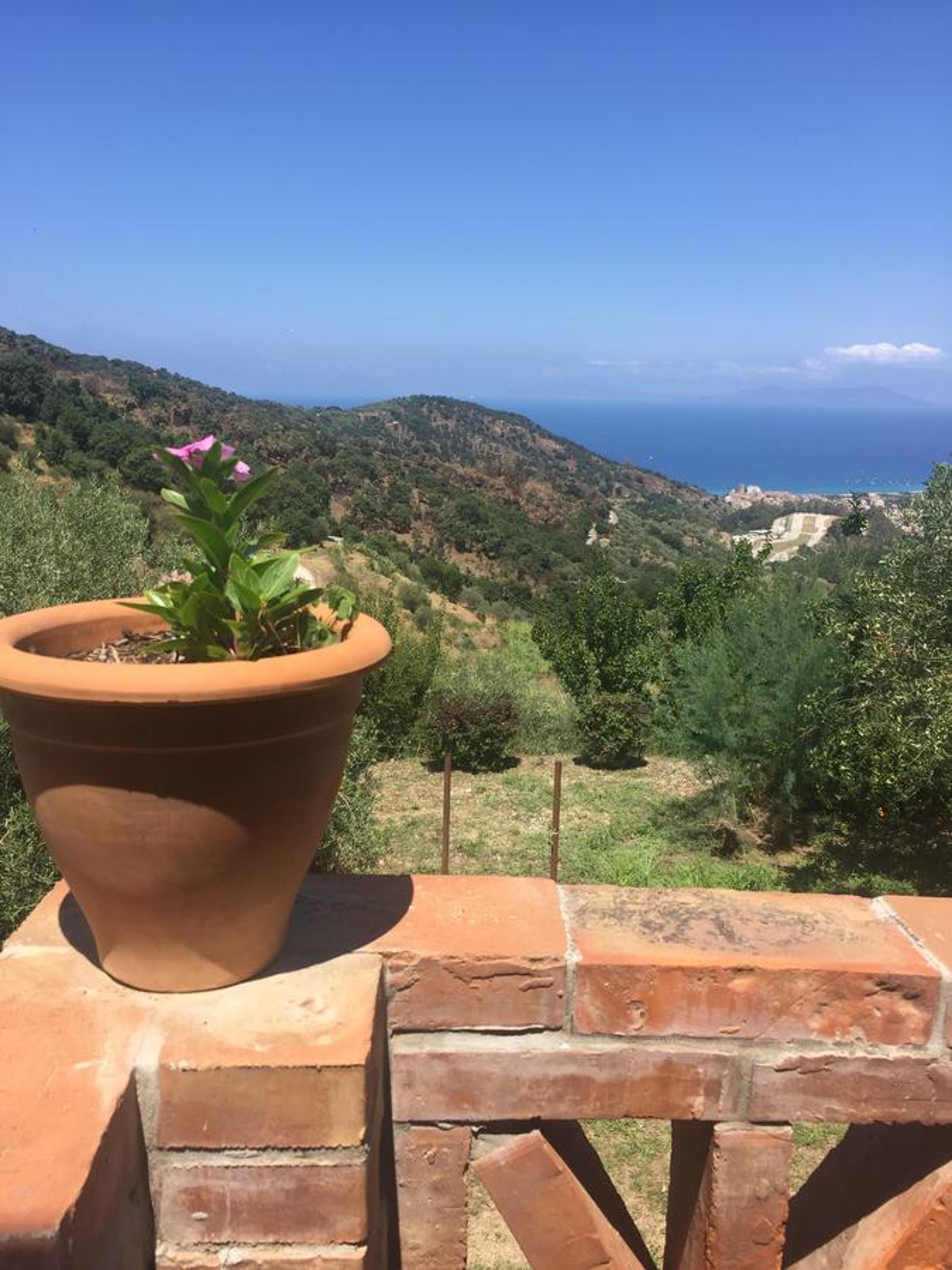 Agriturismo Fattoria di Grenne, Billede 4