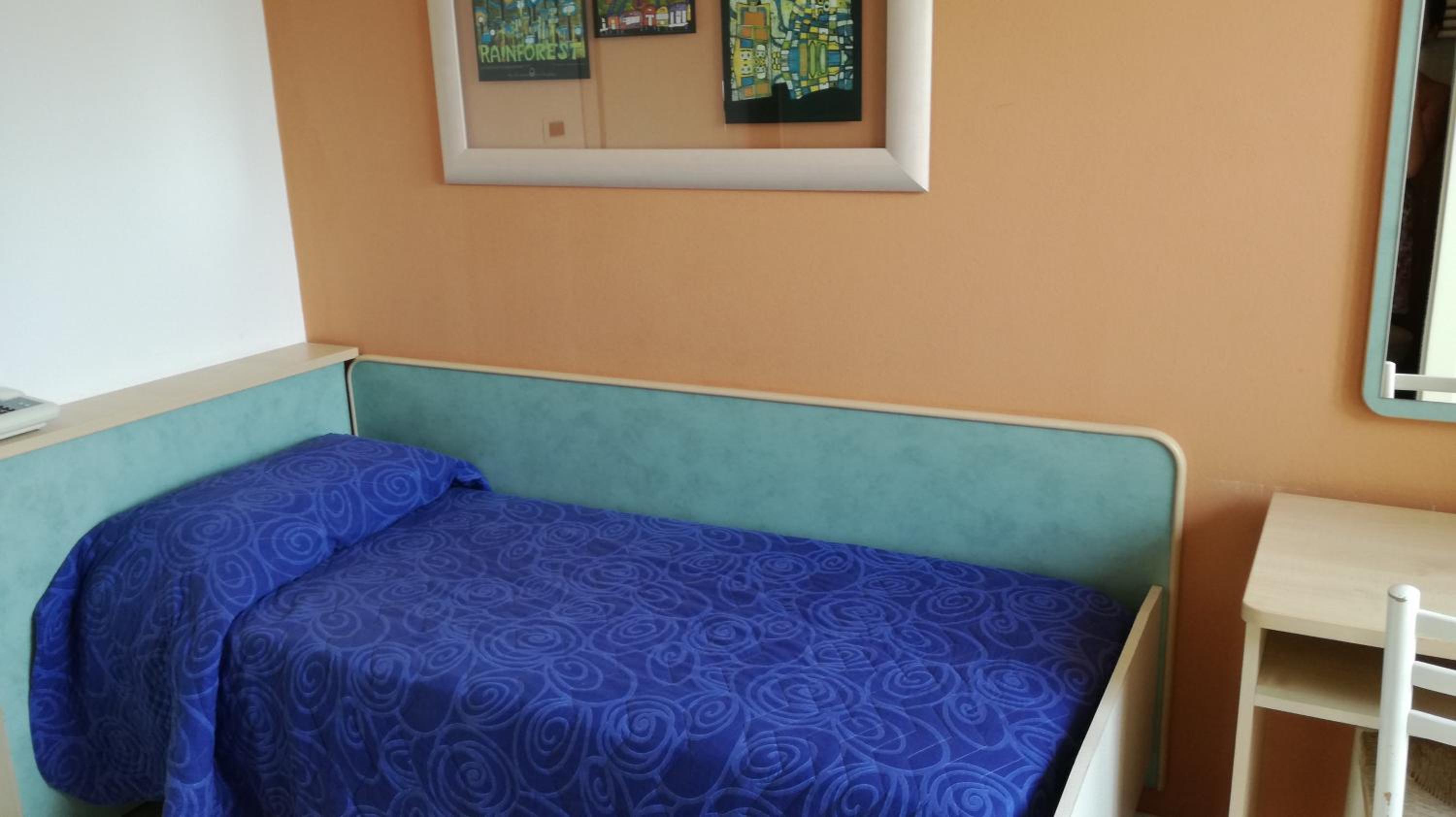 Single Room photo 3