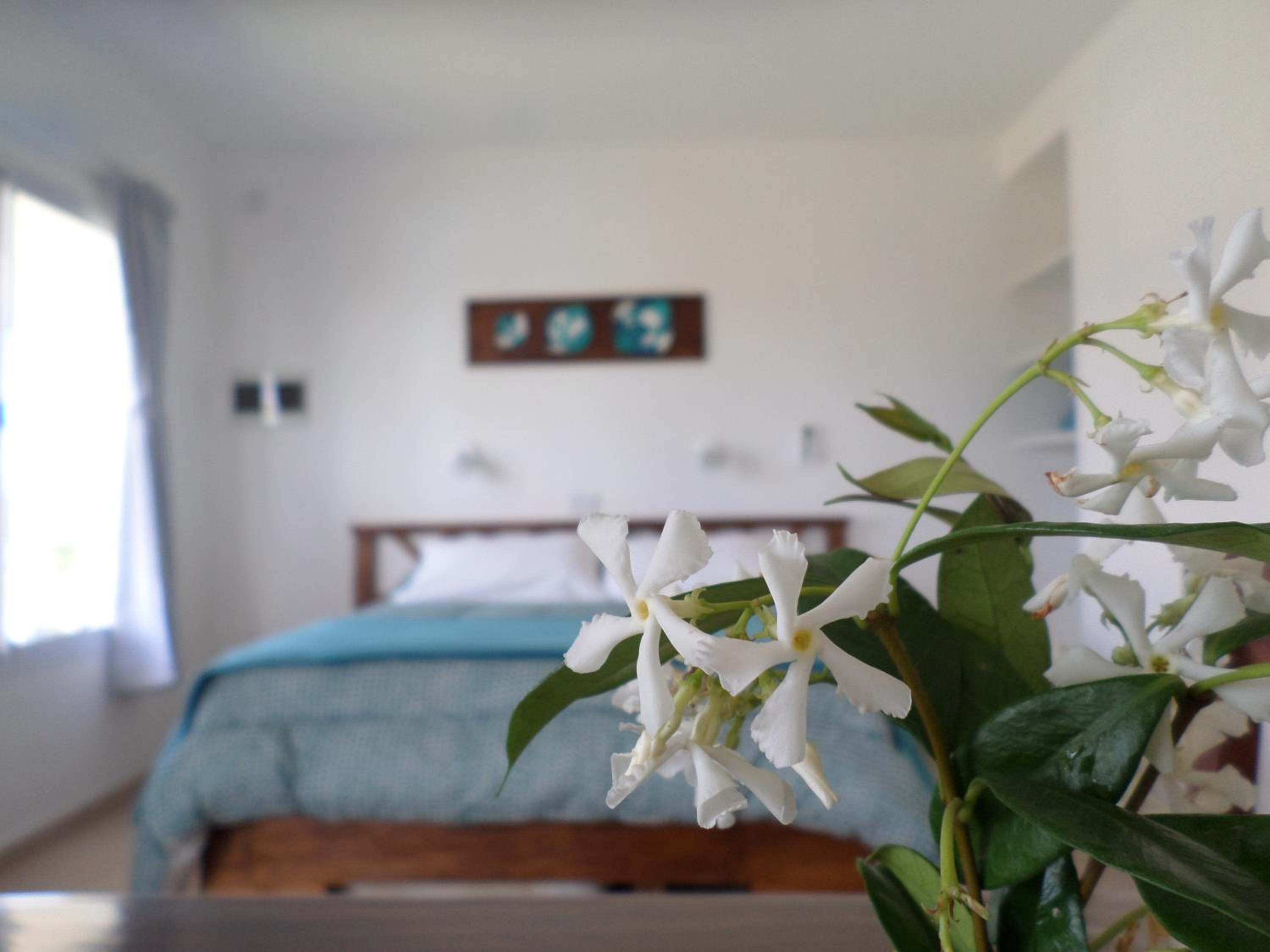 Studio Apartment photo 2