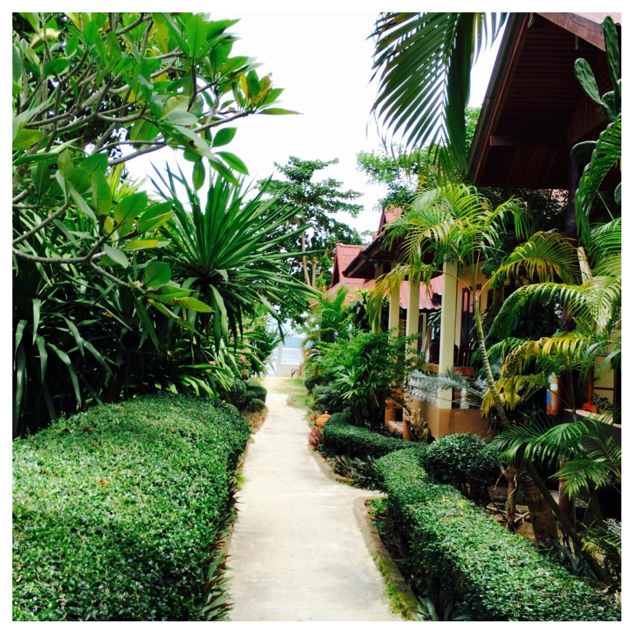 Superior Bungalow with Fan photo 2