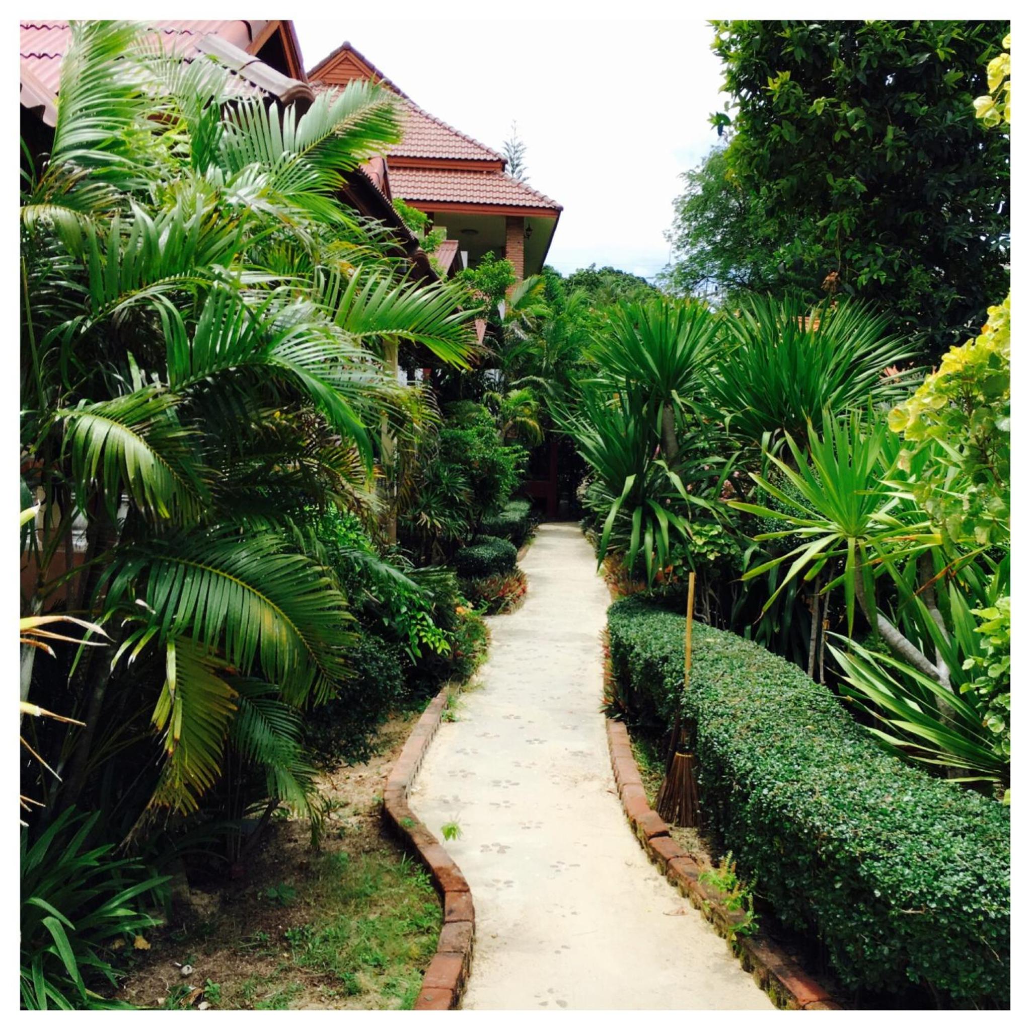 Deluxe Bungalow photo 2
