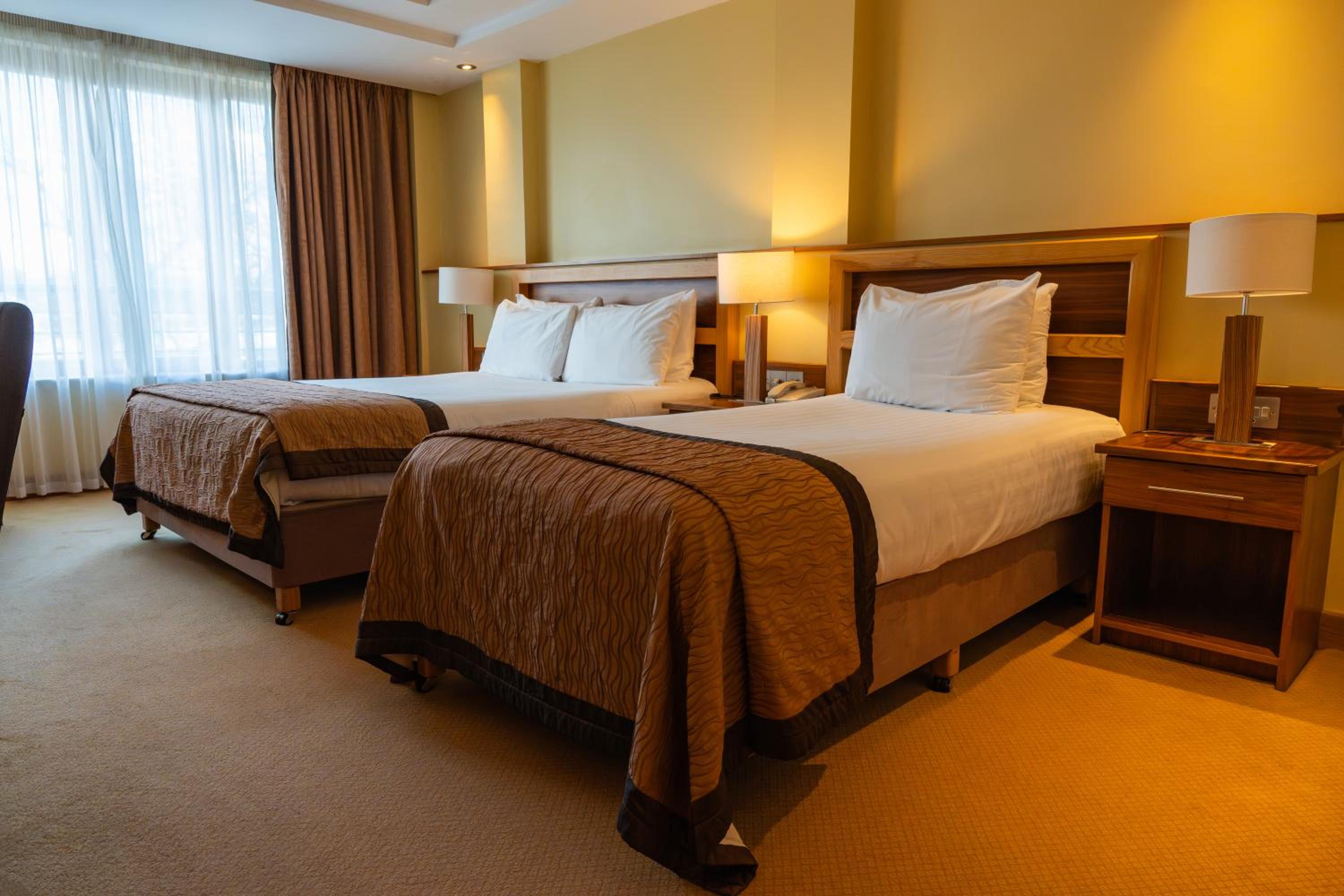 Basic Triple Room