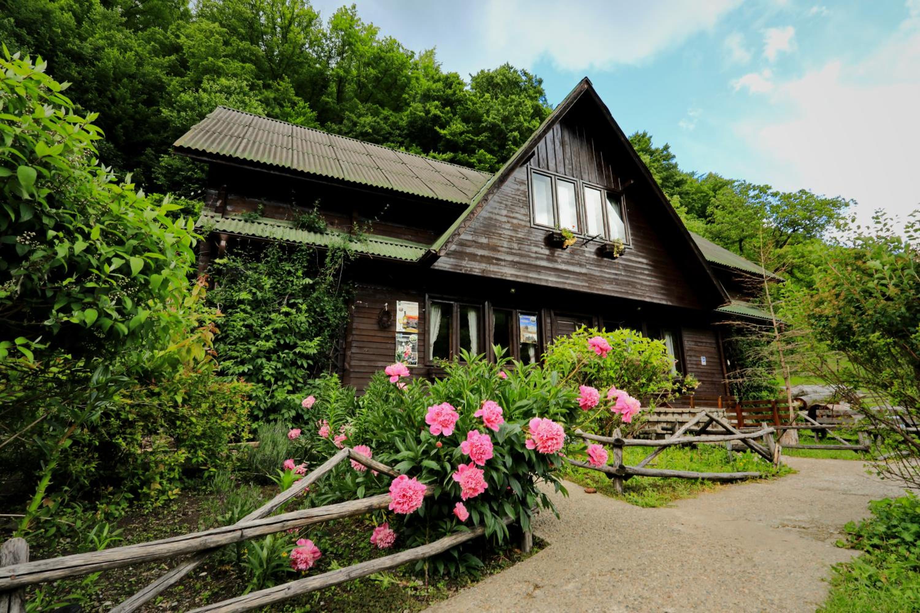 Chalet photo 2