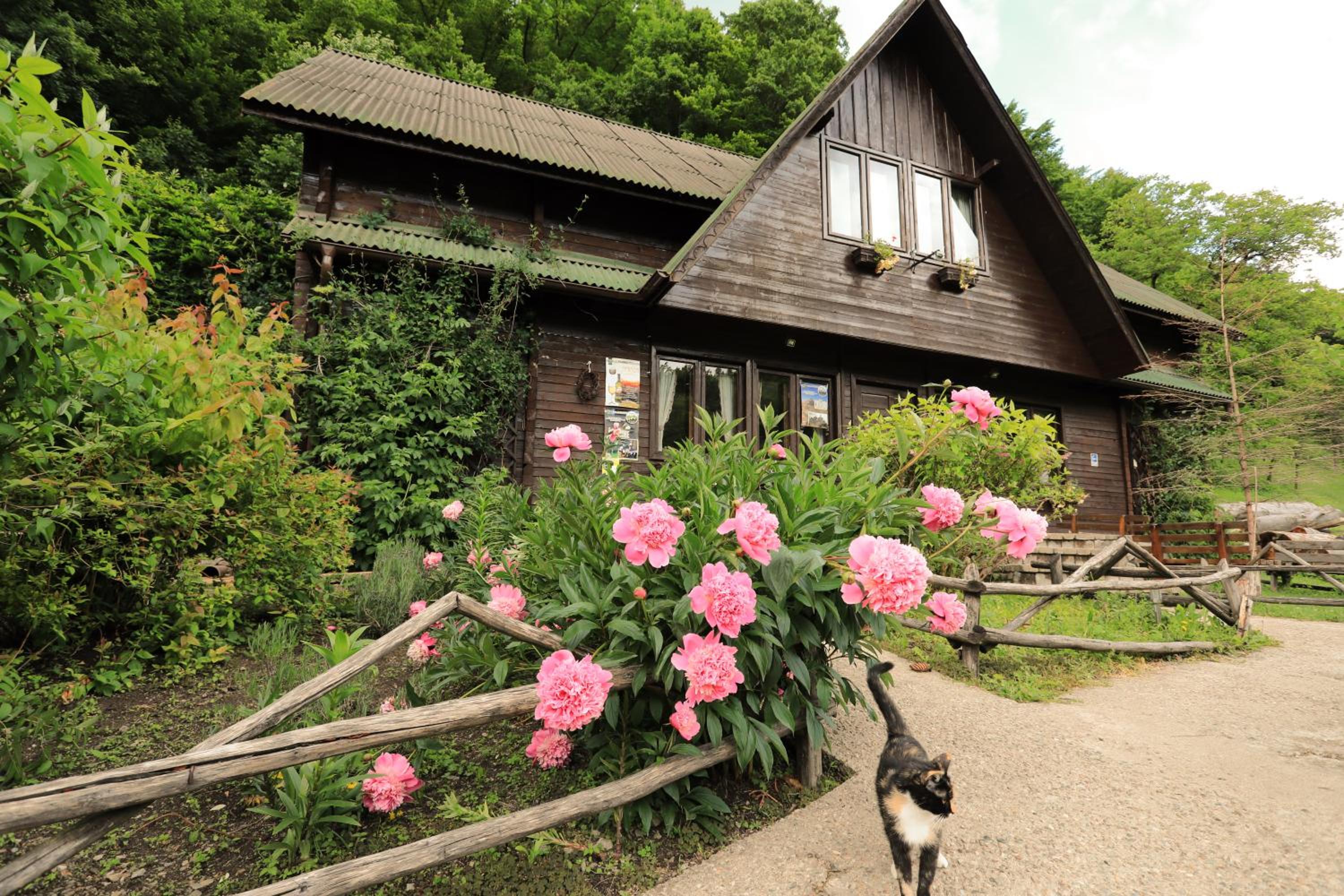 Chalet photo 3