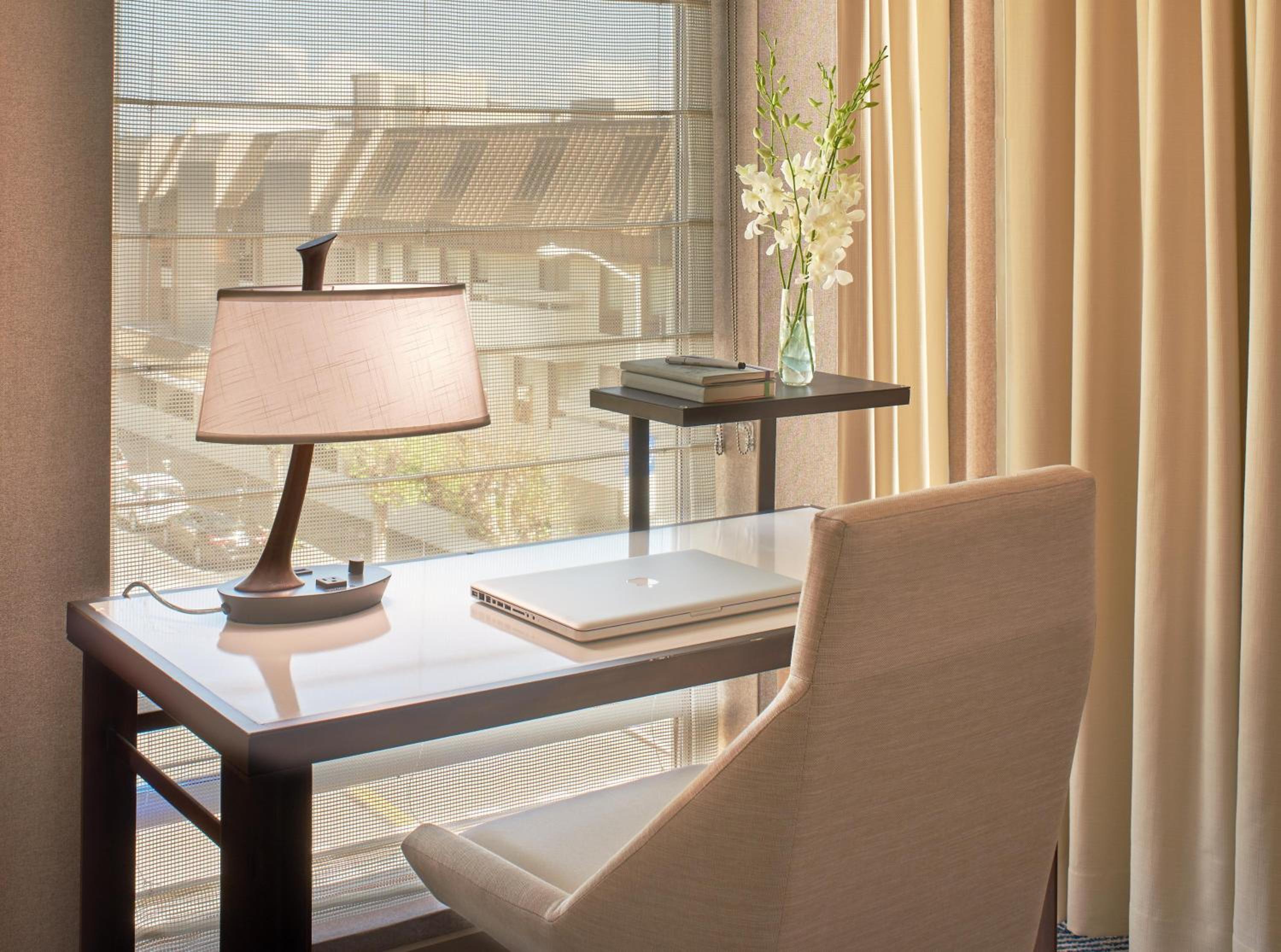 Suite - Photo 6